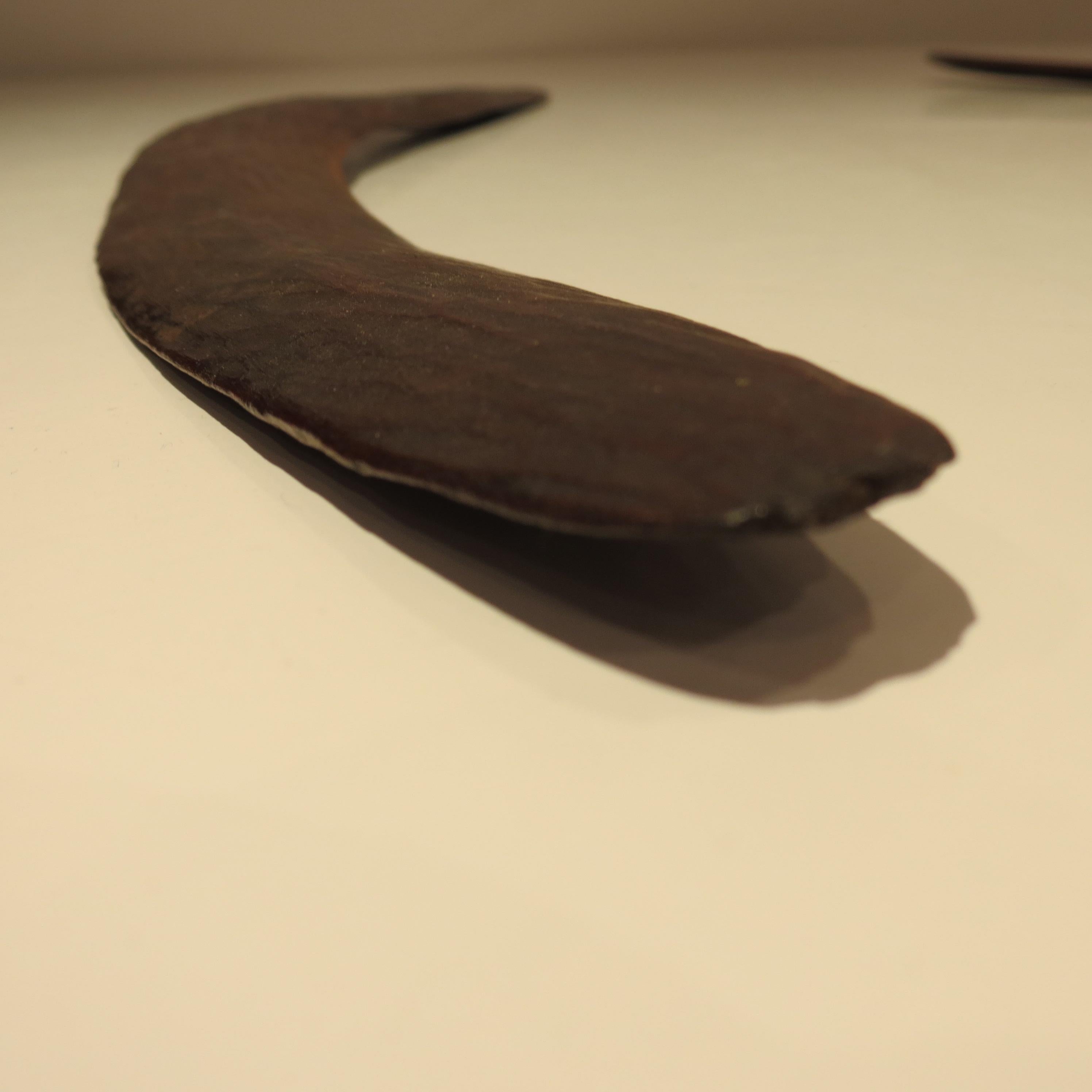 Pair of 19th Century Antique Hand Carved Aboriginal Wooden Boomerangs 5