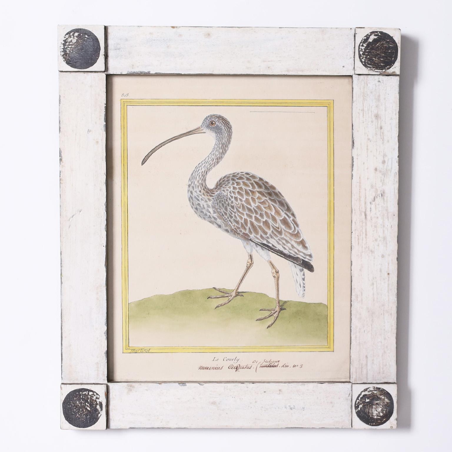 Peint à la main Paire de gravures françaises anciennes d'oiseaux colorées à la main en vente