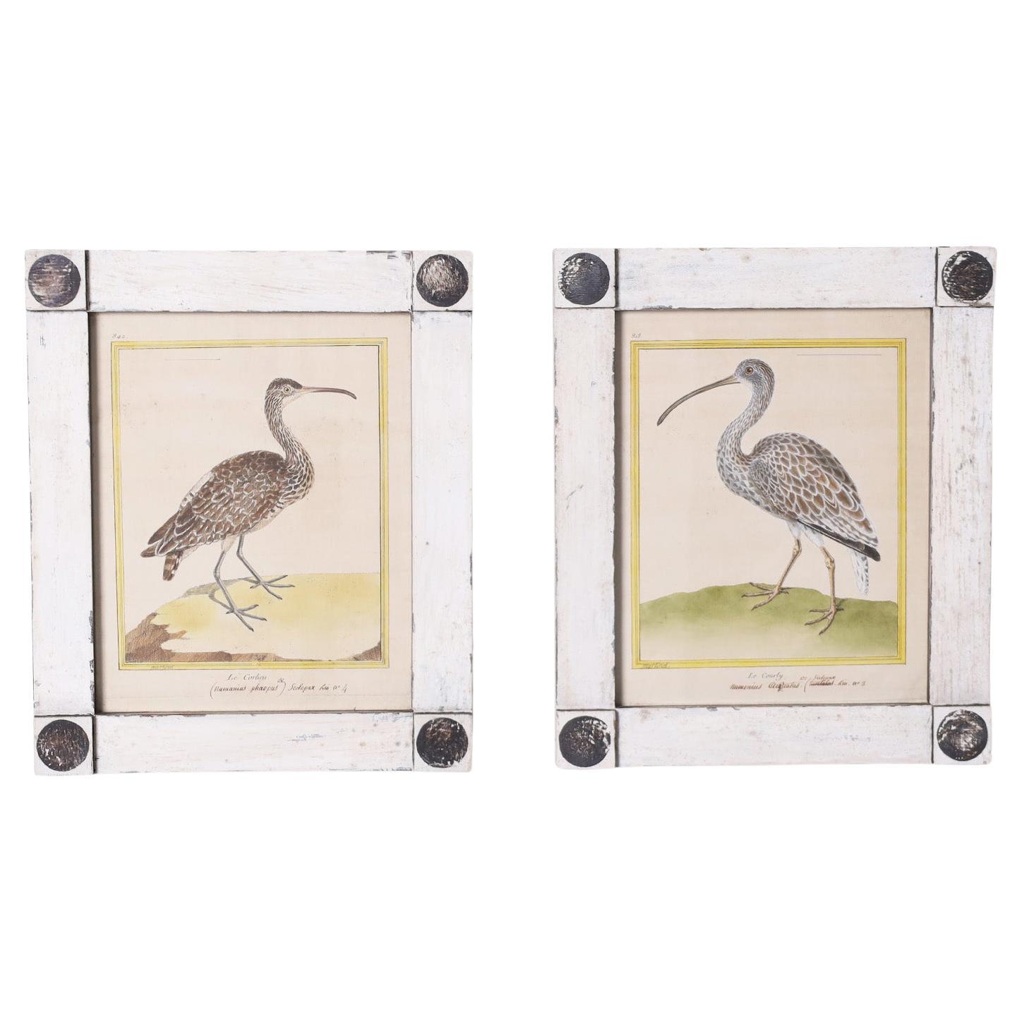 Paire de gravures françaises anciennes d'oiseaux colorées à la main en vente