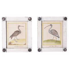 Pair of Antique Hand Colored French Bird Engravings