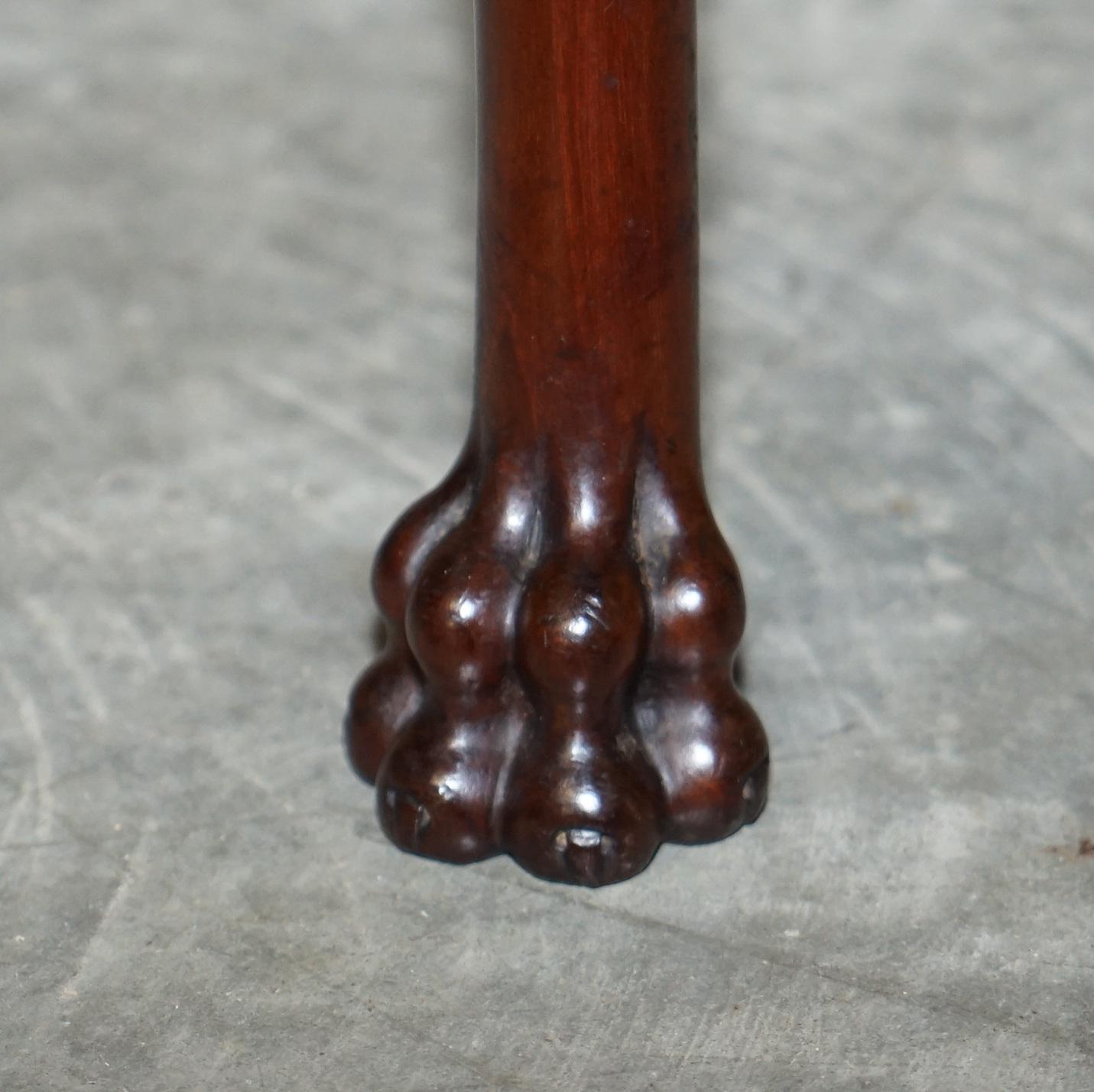 Pair of Antique Honduras Hardwood English Hand Carved Lion Hairy Paw Feet Chairs For Sale 4