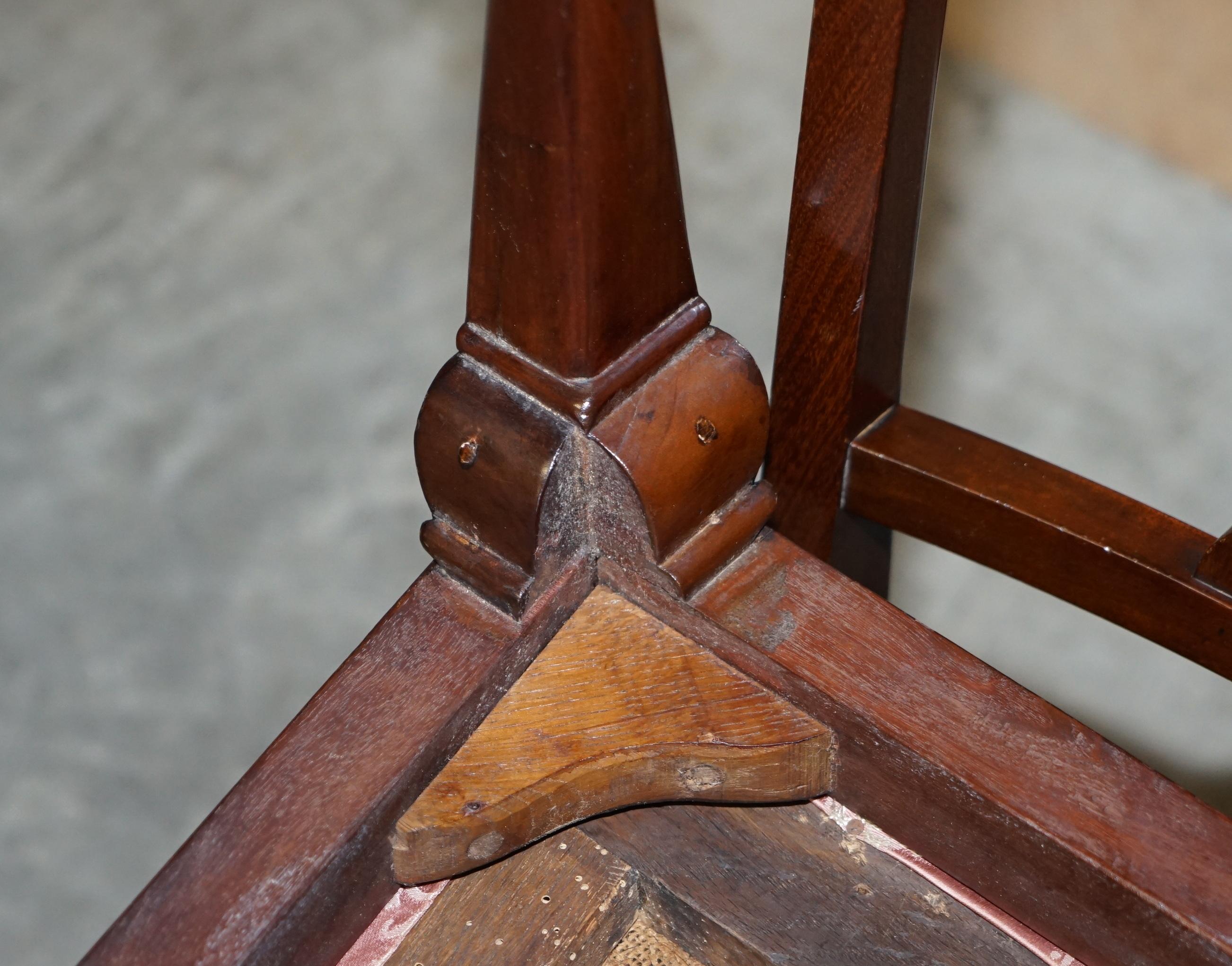 Paar antike, englische, handgeschnitzte Stühle aus Hartholz mit Löwenhaar und Pfotenfüßen aus Honduras im Angebot 8