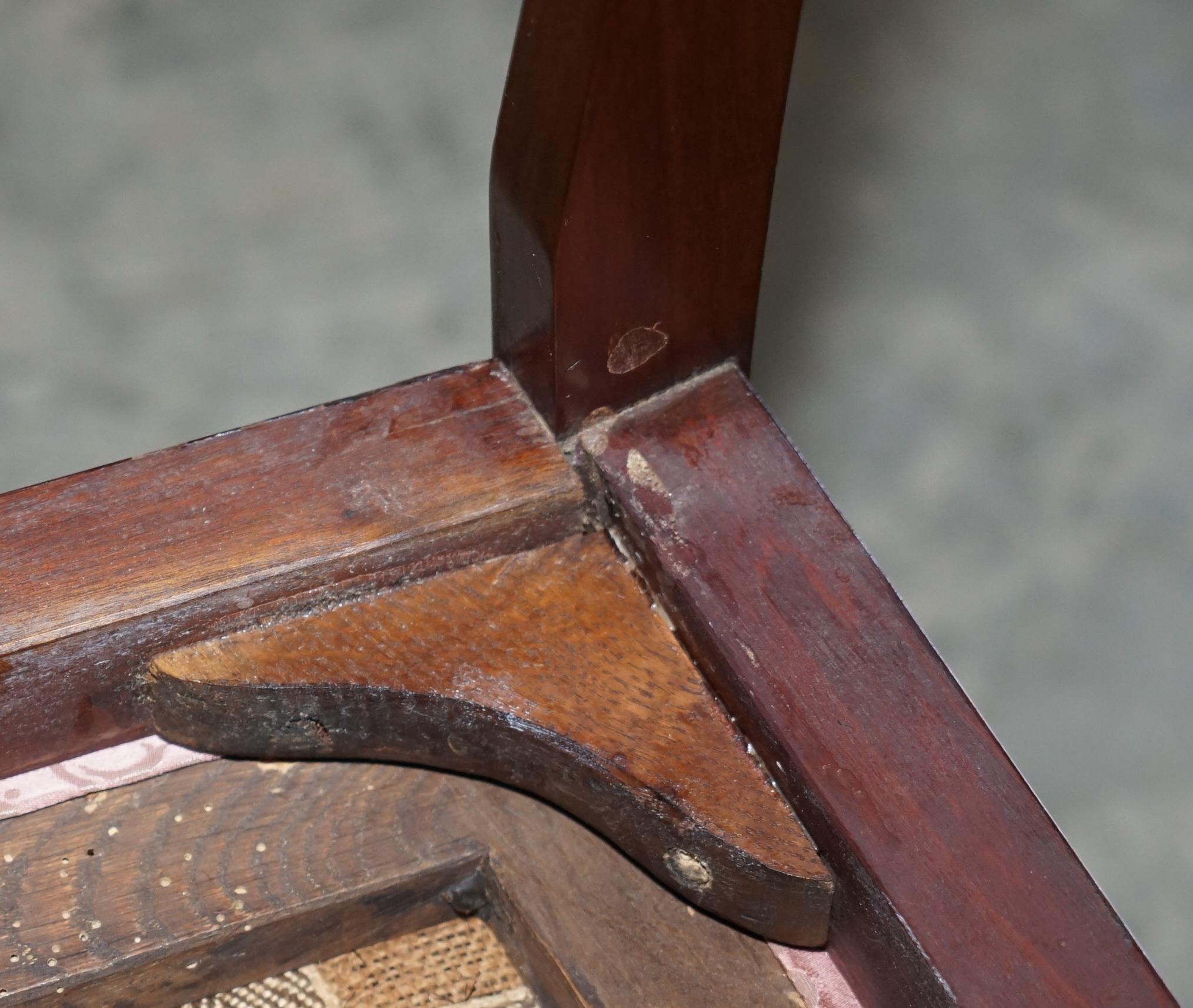 Pair of Antique Honduras Hardwood English Hand Carved Lion Hairy Paw Feet Chairs For Sale 9