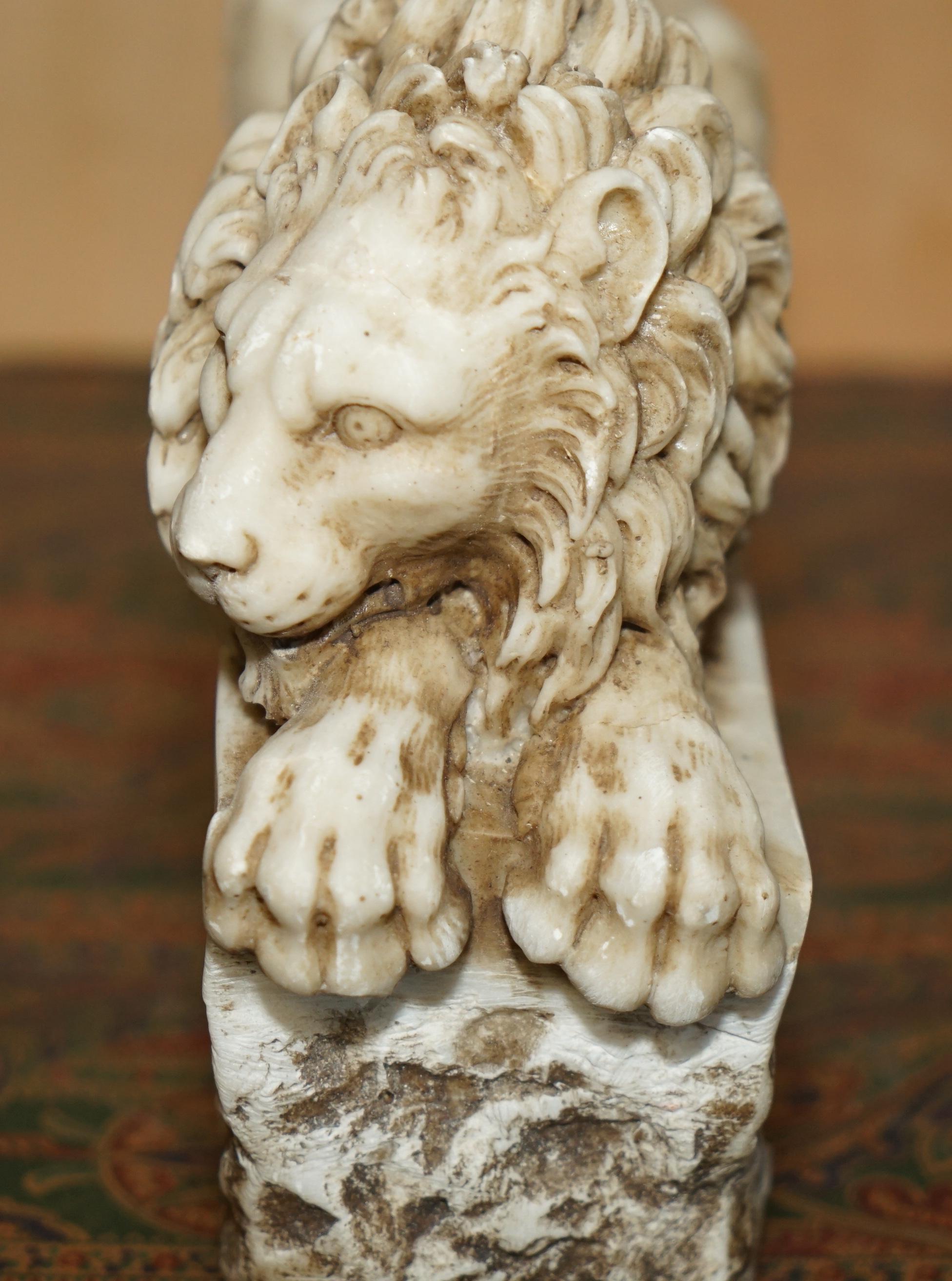 PAR DE ANTIGUOS LEONES ITALIANOS ANTONIO CANOVA CORCORAN GALLERY OF ART WASHINGTON en venta 4
