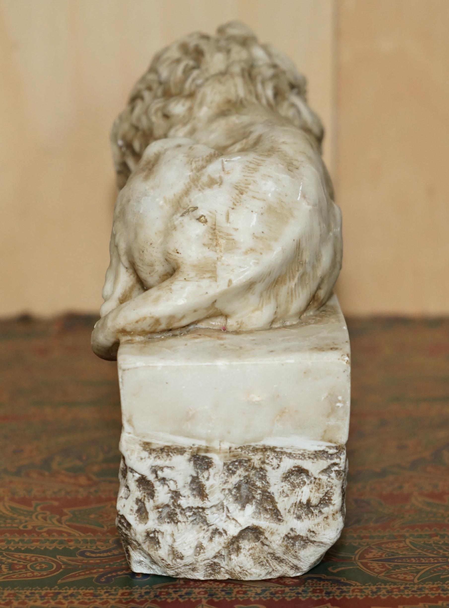PAR DE ANTIGUOS LEONES ITALIANOS ANTONIO CANOVA CORCORAN GALLERY OF ART WASHINGTON en venta 12