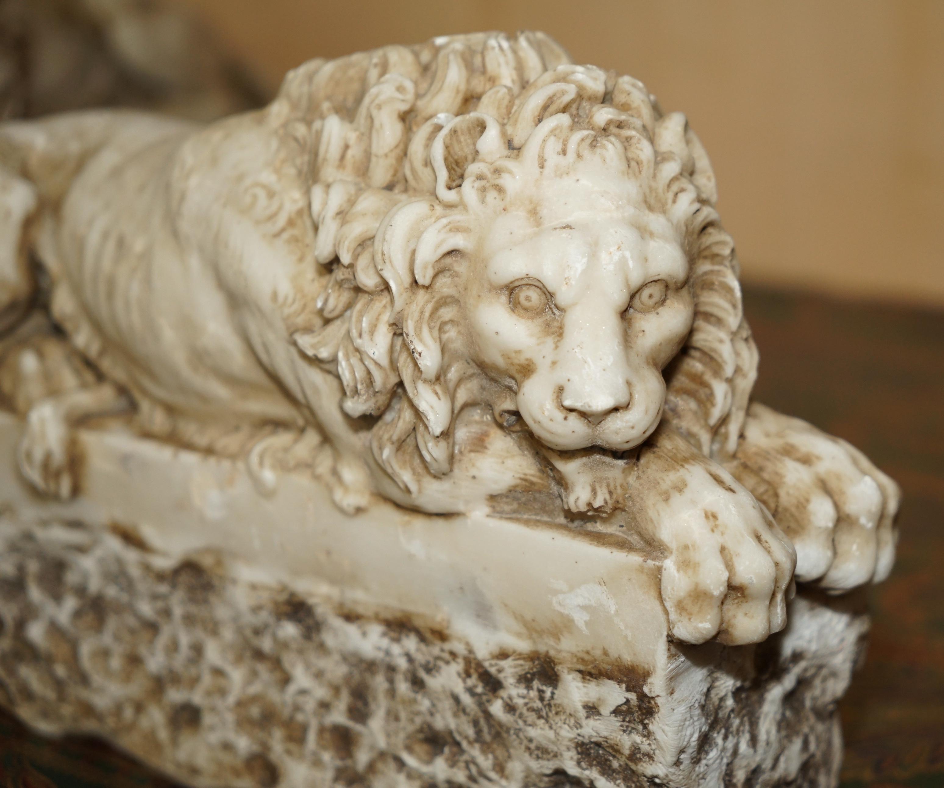 PAR DE ANTIGUOS LEONES ITALIANOS ANTONIO CANOVA CORCORAN GALLERY OF ART WASHINGTON Italiano en venta