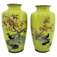 Paire de vases japonais anciens en cloisonné avec oiseaux exotiques et arbres à fleurs