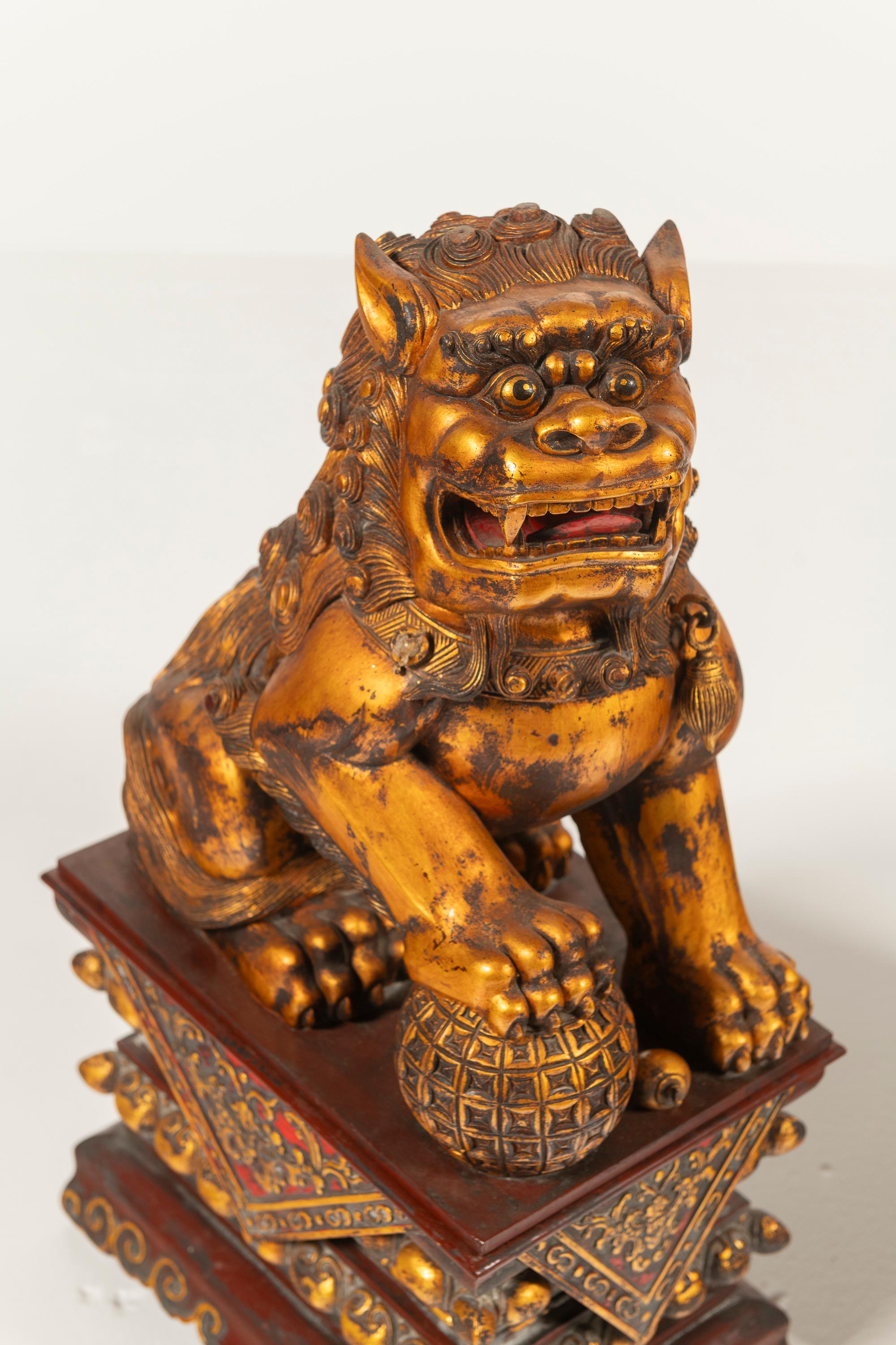 Pair of Antique Large Chinese Lacquered, Gilded Foo Dogs on Ornate Bases, China For Sale 9