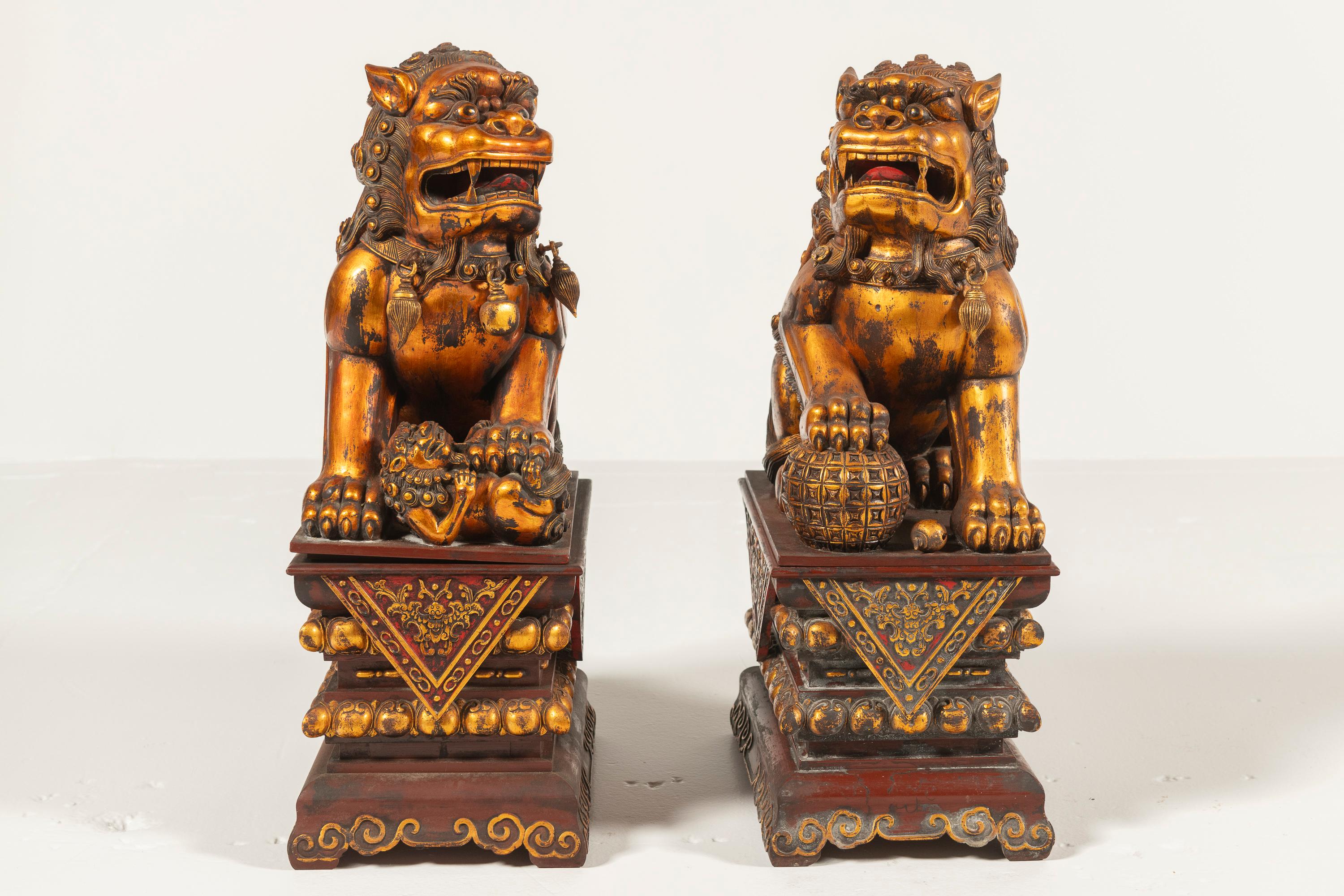 Gilt Pair of Antique Large Chinese Lacquered, Gilded Foo Dogs on Ornate Bases, China For Sale
