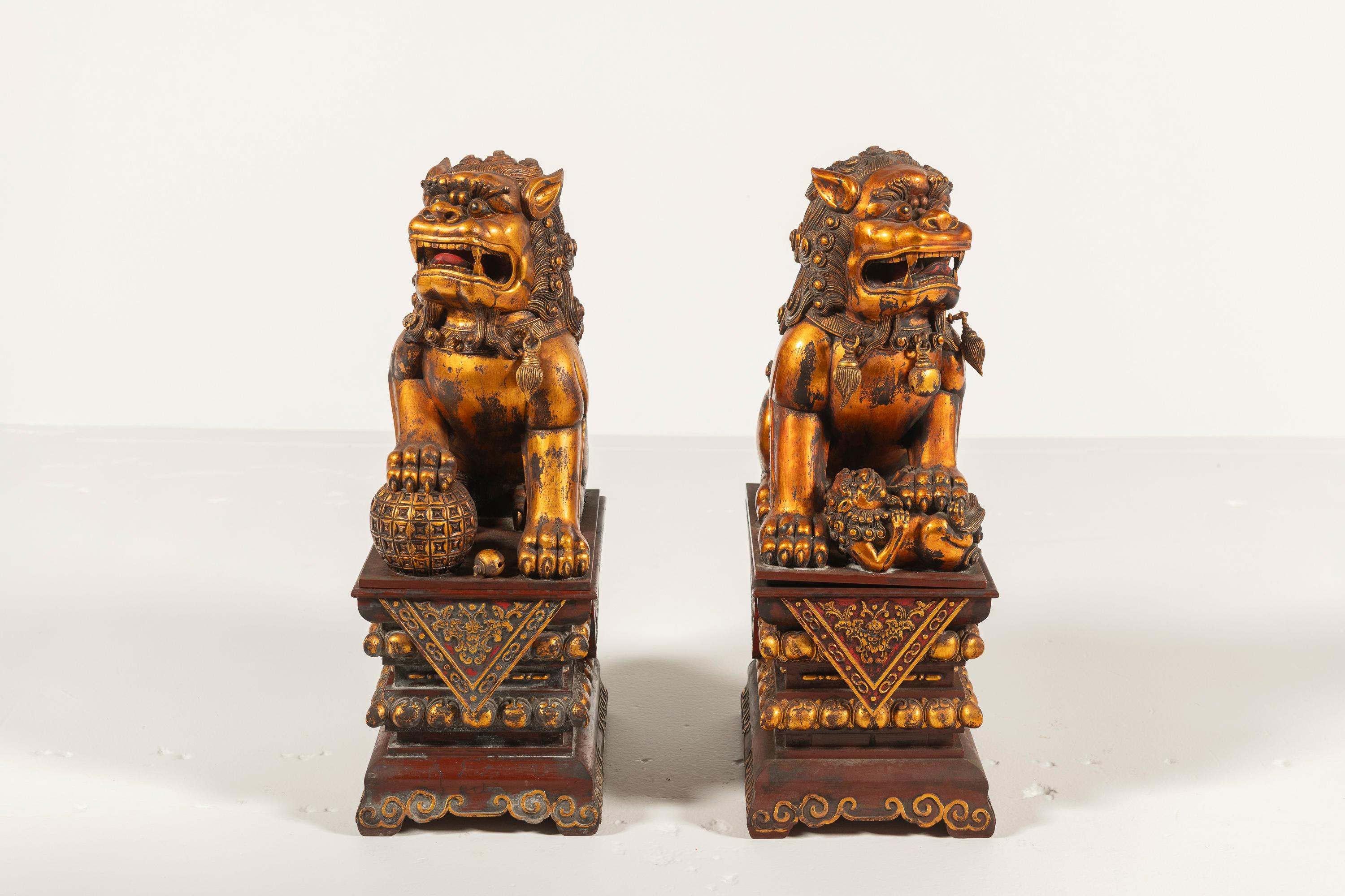 20th Century Pair of Antique Large Chinese Lacquered, Gilded Foo Dogs on Ornate Bases, China For Sale