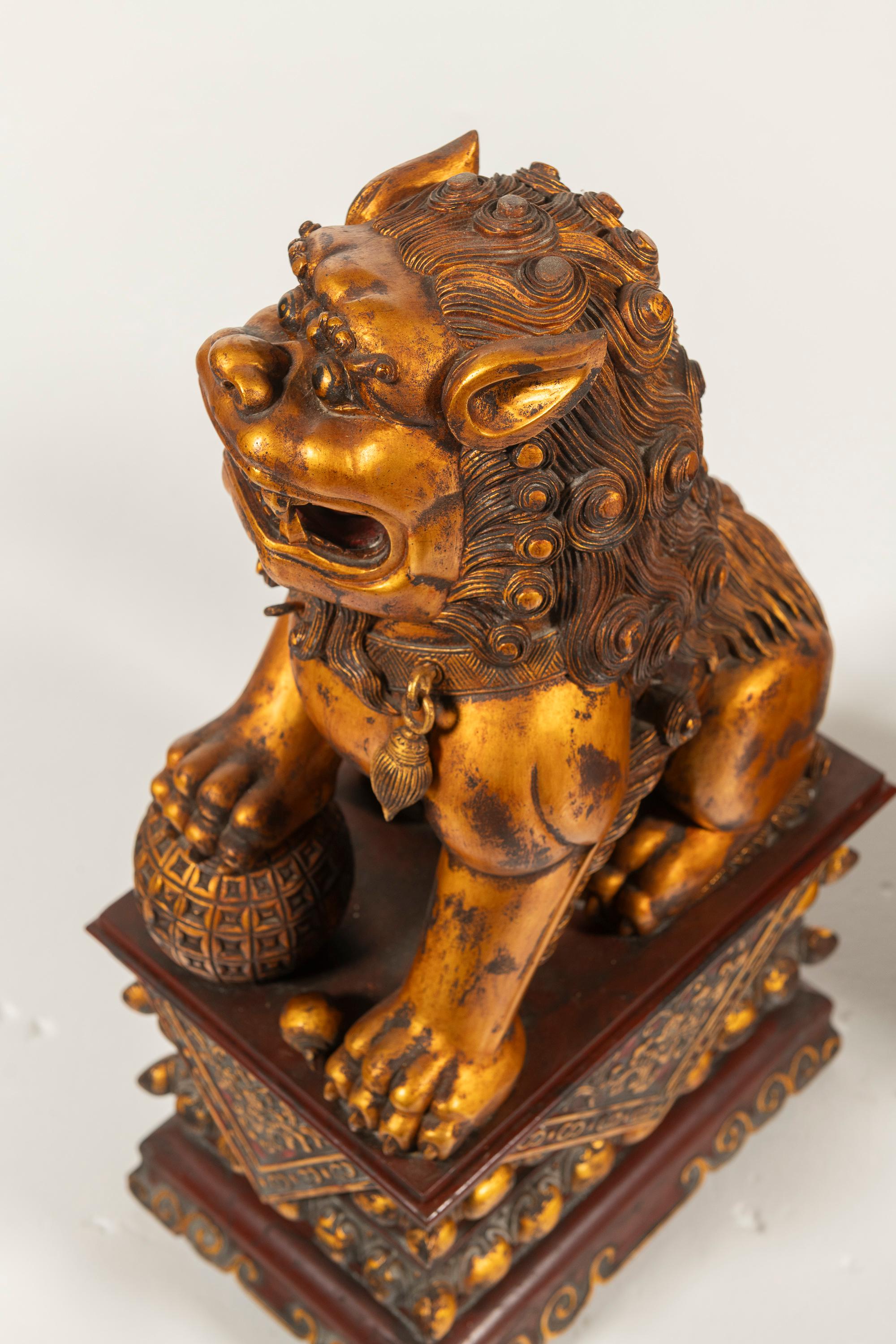 Pair of Antique Large Chinese Lacquered, Gilded Foo Dogs on Ornate Bases, China For Sale 1