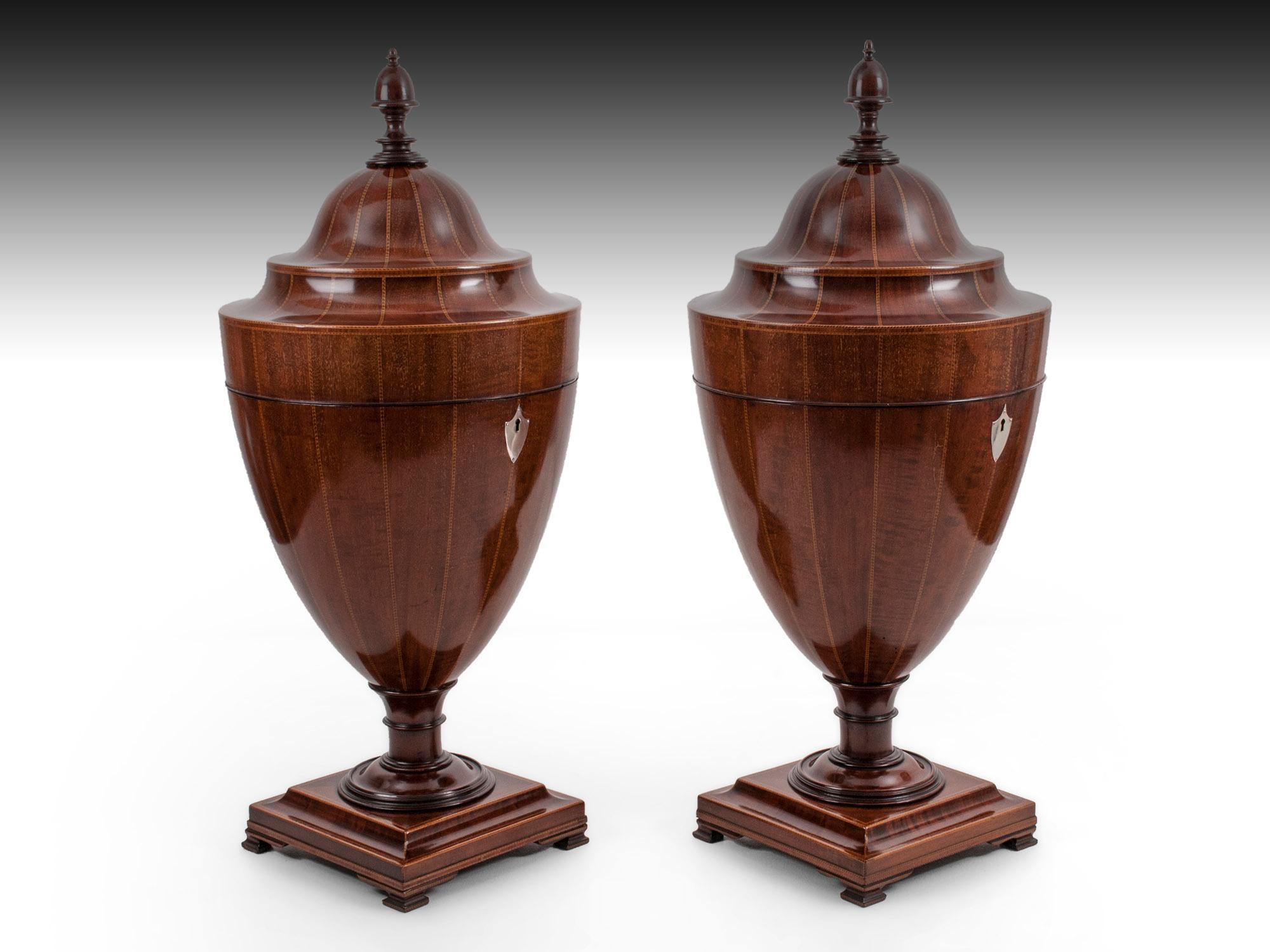British Antique Victorian Pair of Antique Mahogany Cutlery Urns