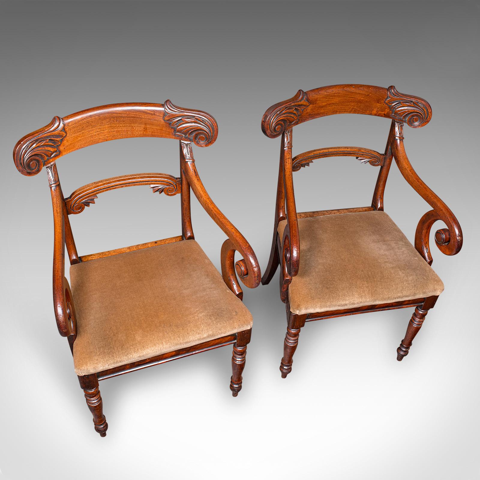 Paar antike Stühle für das Morning Room, Englisch, Ellenbogensitz, Regency, CIRCA 1820 im Angebot 1