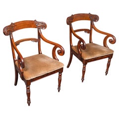 Coppia di antiche sedie da sala da pranzo, inglesi, con seduta a gomito, Regenza, Circa 1820