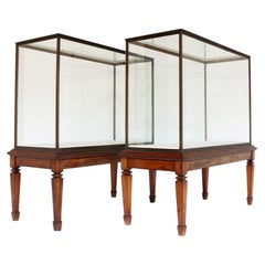 Pair of Vintage Museum Cabinets