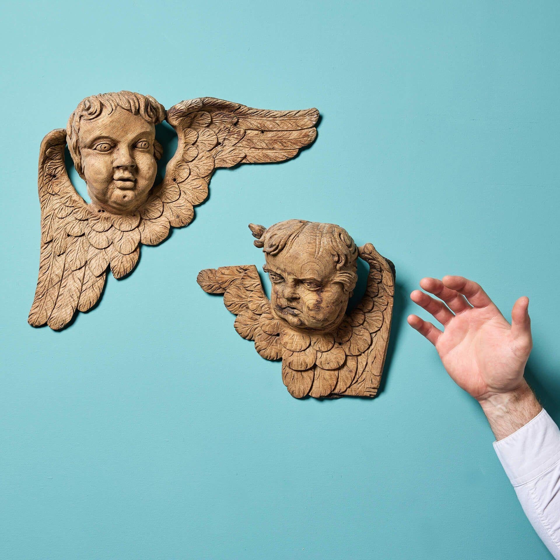 Une paire de chérubins néoclassiques sculptés de manière remarquable et compétente.

Fabriquées en chêne, ces sculptures néoclassiques représentent des visages détaillés d'angelots ou de putto, sculptés à la main et soutenus par des ailes