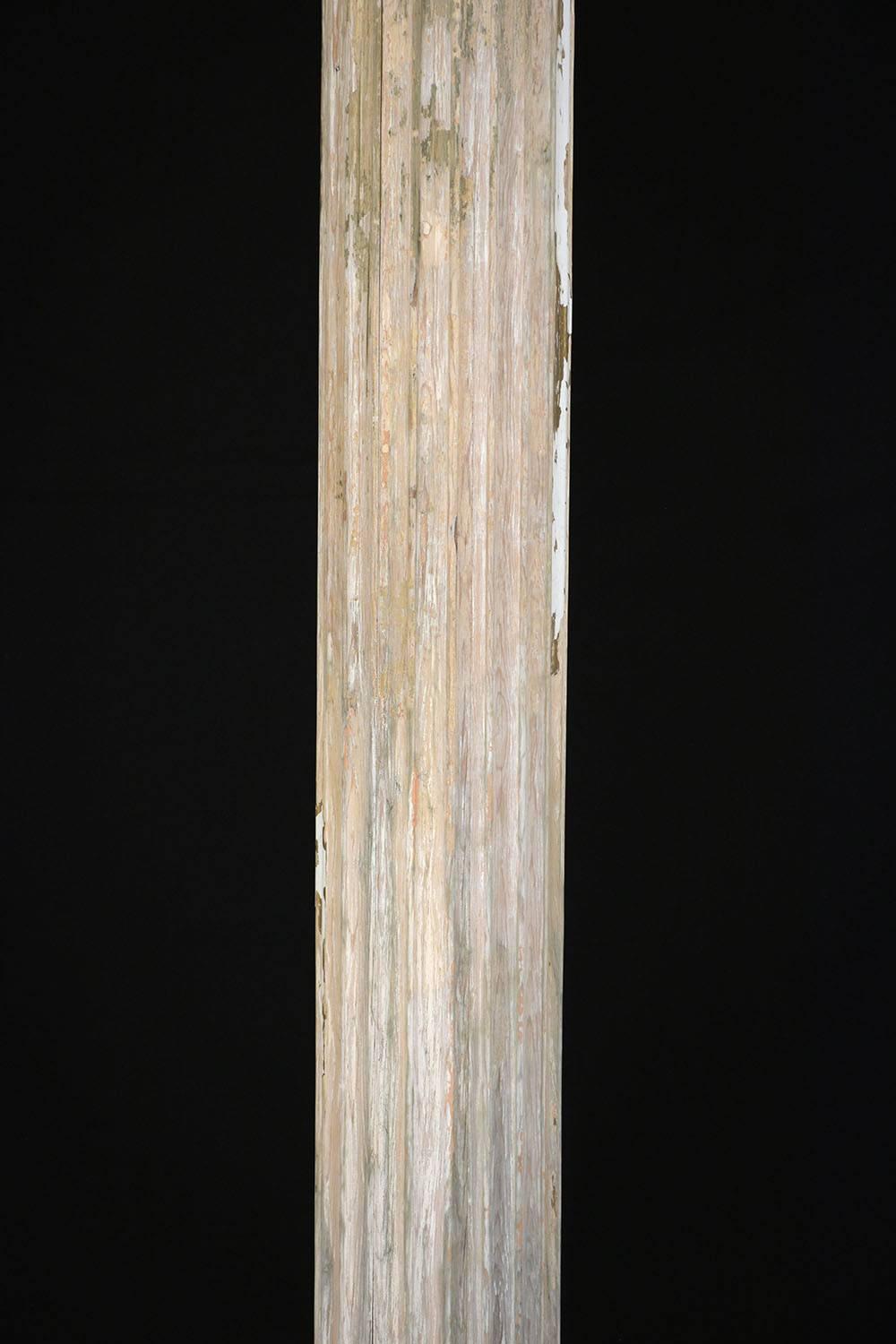 Pair of Antique Neoclassical-Style Columns 1