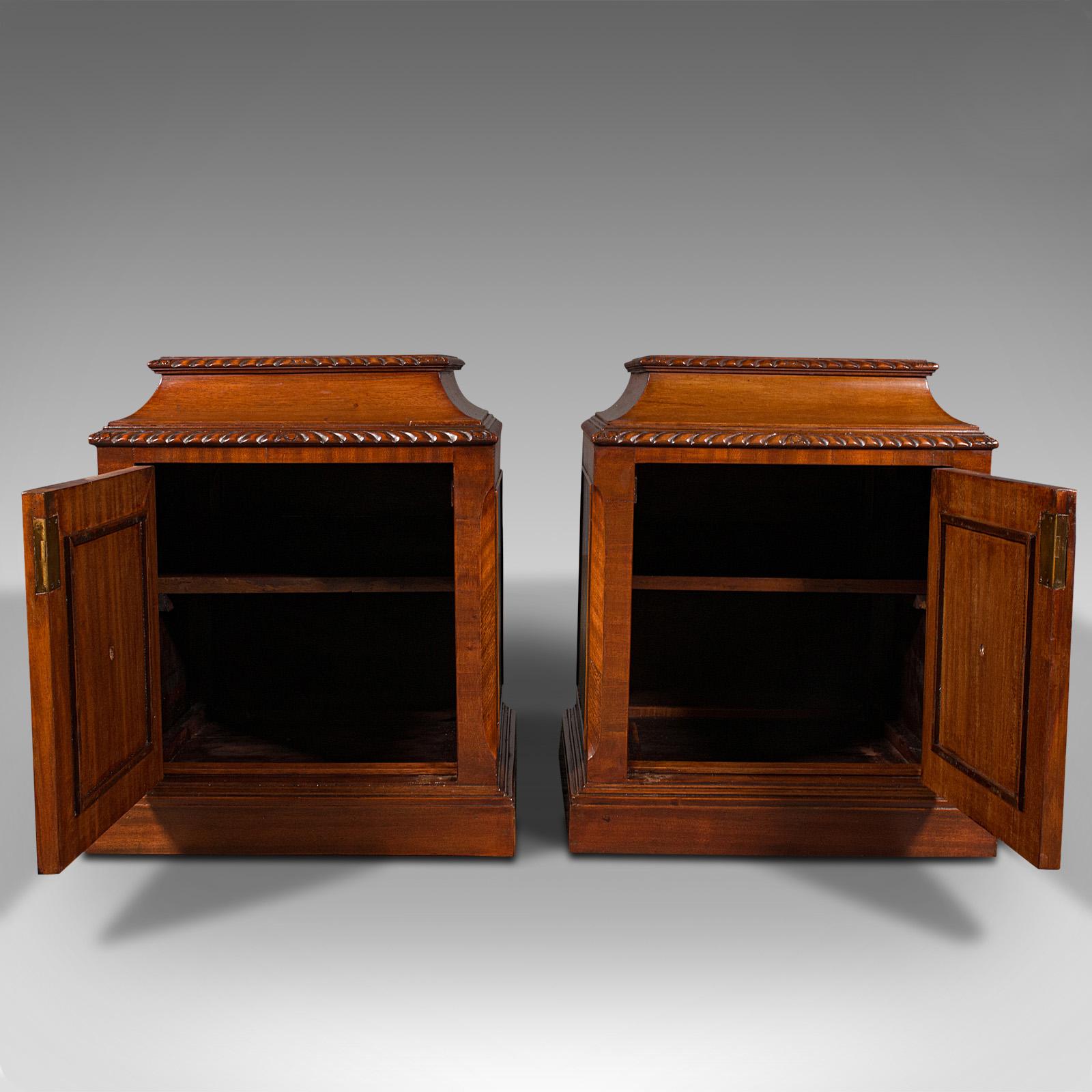 British Pair of Antique Nightstands, English, Bedside, Fireside Cabinet, William IV