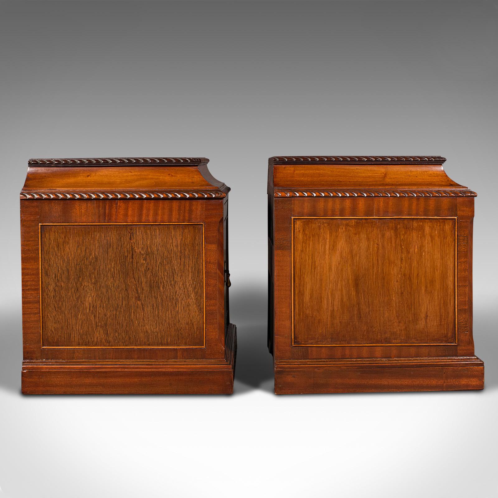 Pair of Antique Nightstands, English, Bedside, Fireside Cabinet, William IV In Good Condition In Hele, Devon, GB