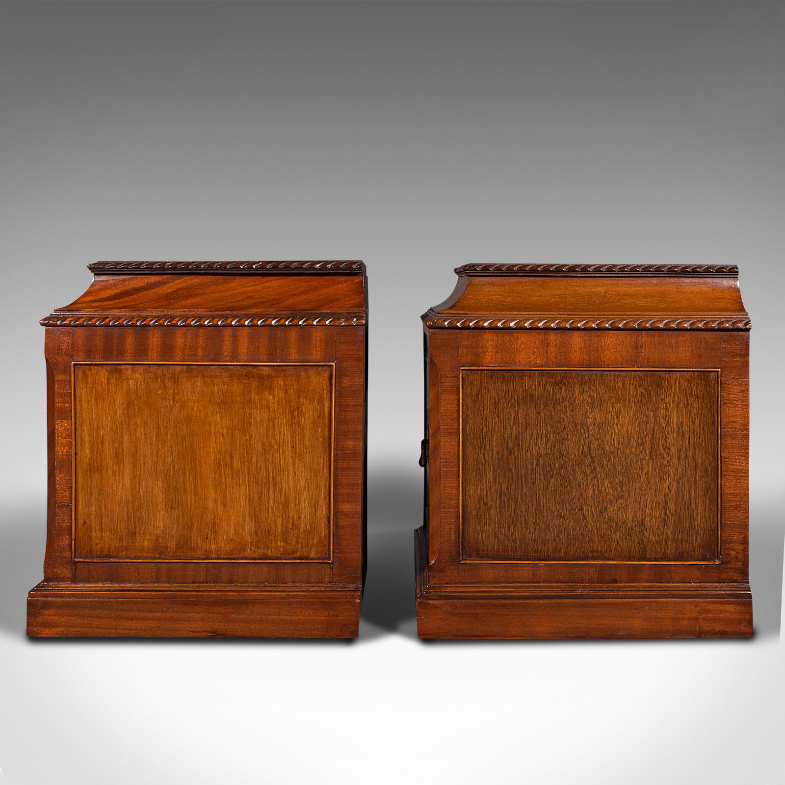 19th Century Pair of Antique Nightstands, English, Bedside, Fireside Cabinet, William IV