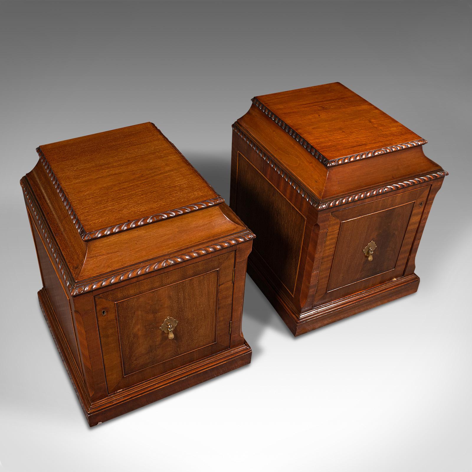 Pair of Antique Nightstands, English, Bedside, Fireside Cabinet, William IV 1