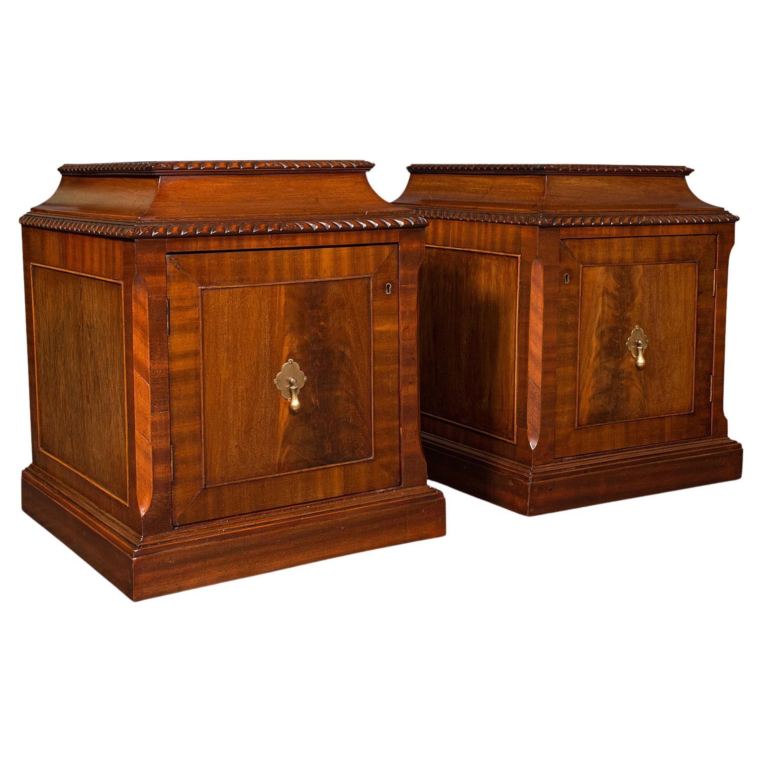 Pair of Antique Nightstands, English, Bedside, Fireside Cabinet, William IV