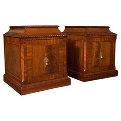 Pair of Antique Nightstands, English, Bedside, Fireside Cabinet, William IV