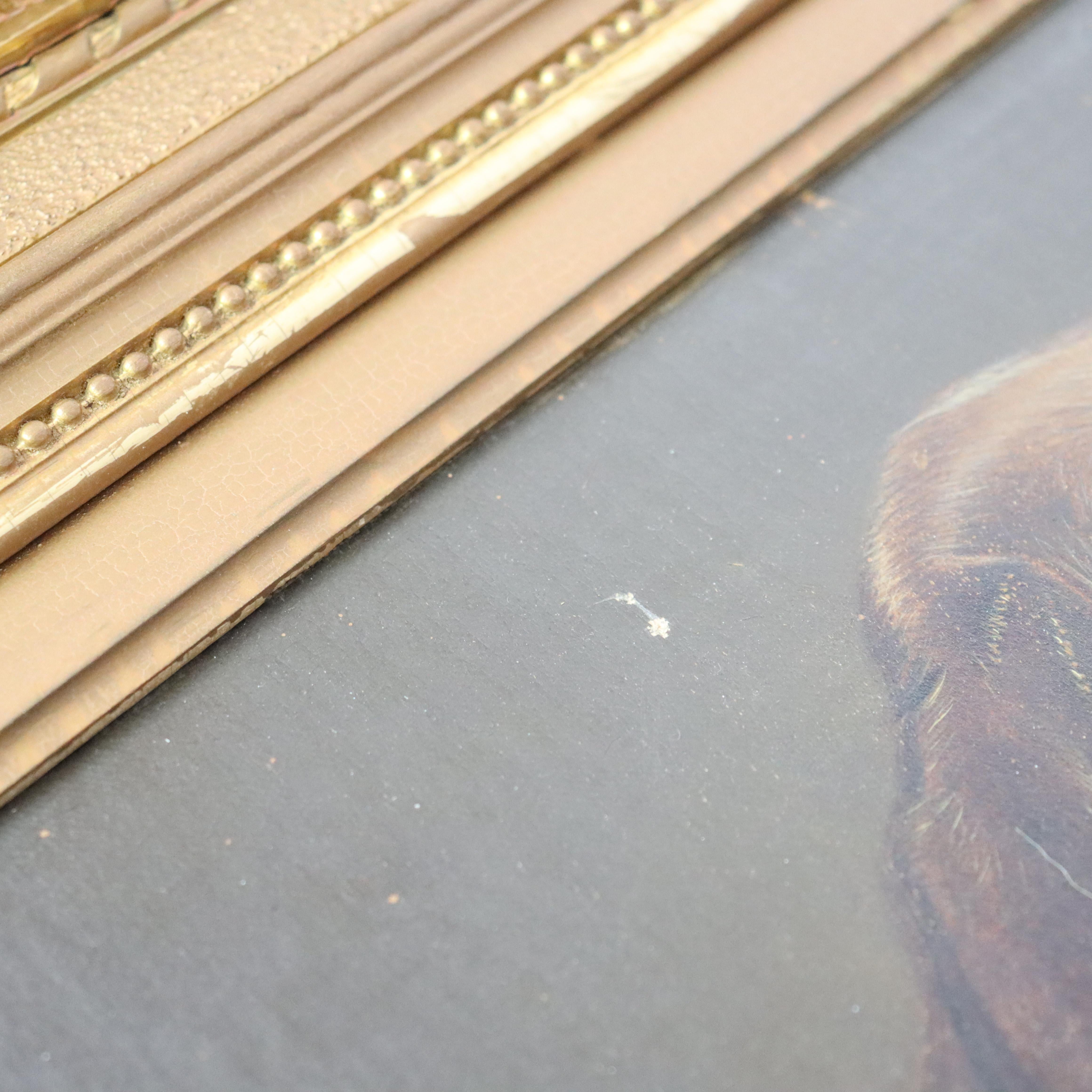 Paire d'anciens portraits de chiens à l'huile sur toile, encadrés, C1890 en vente 7
