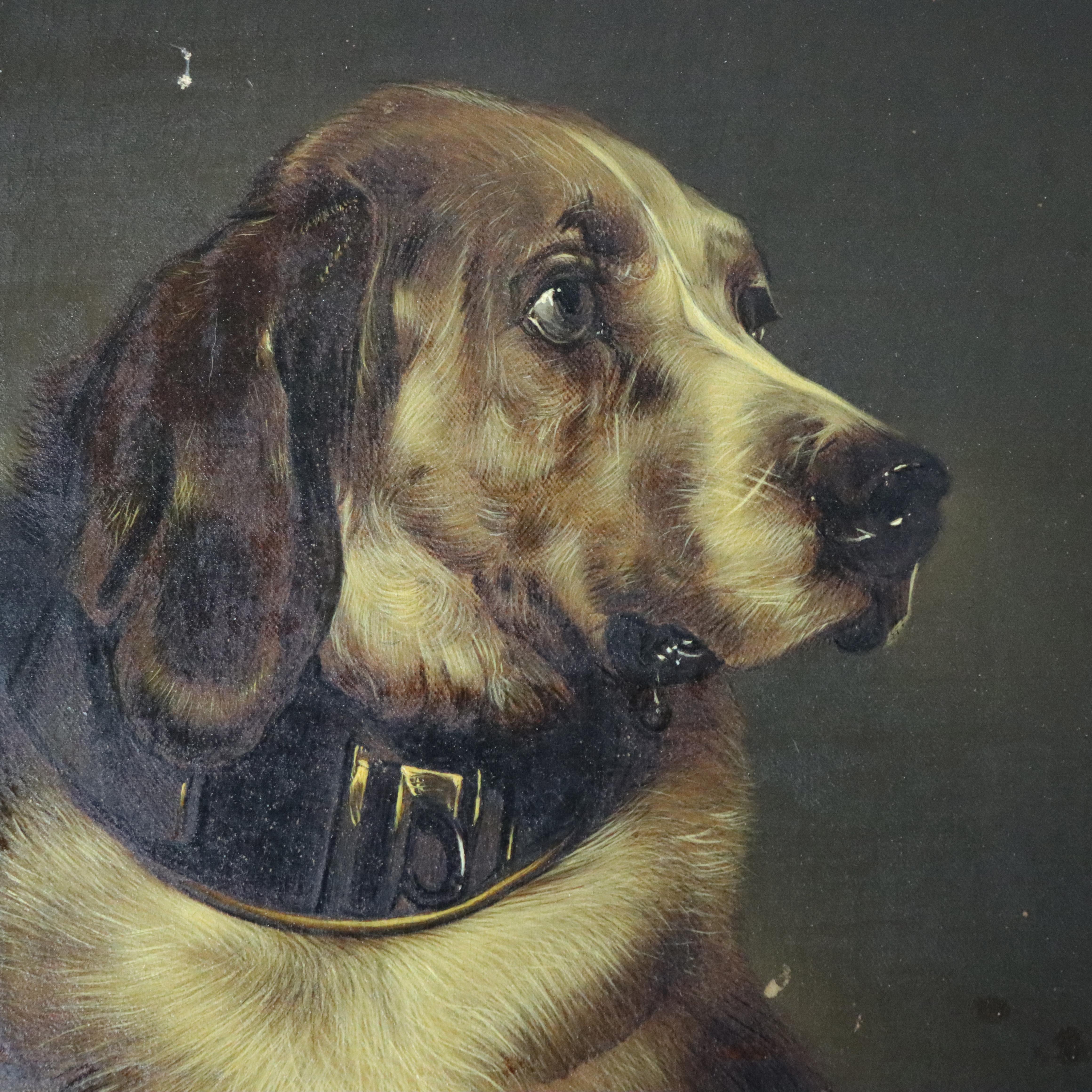 Paire d'anciens portraits de chiens à l'huile sur toile, encadrés, C1890 en vente 10