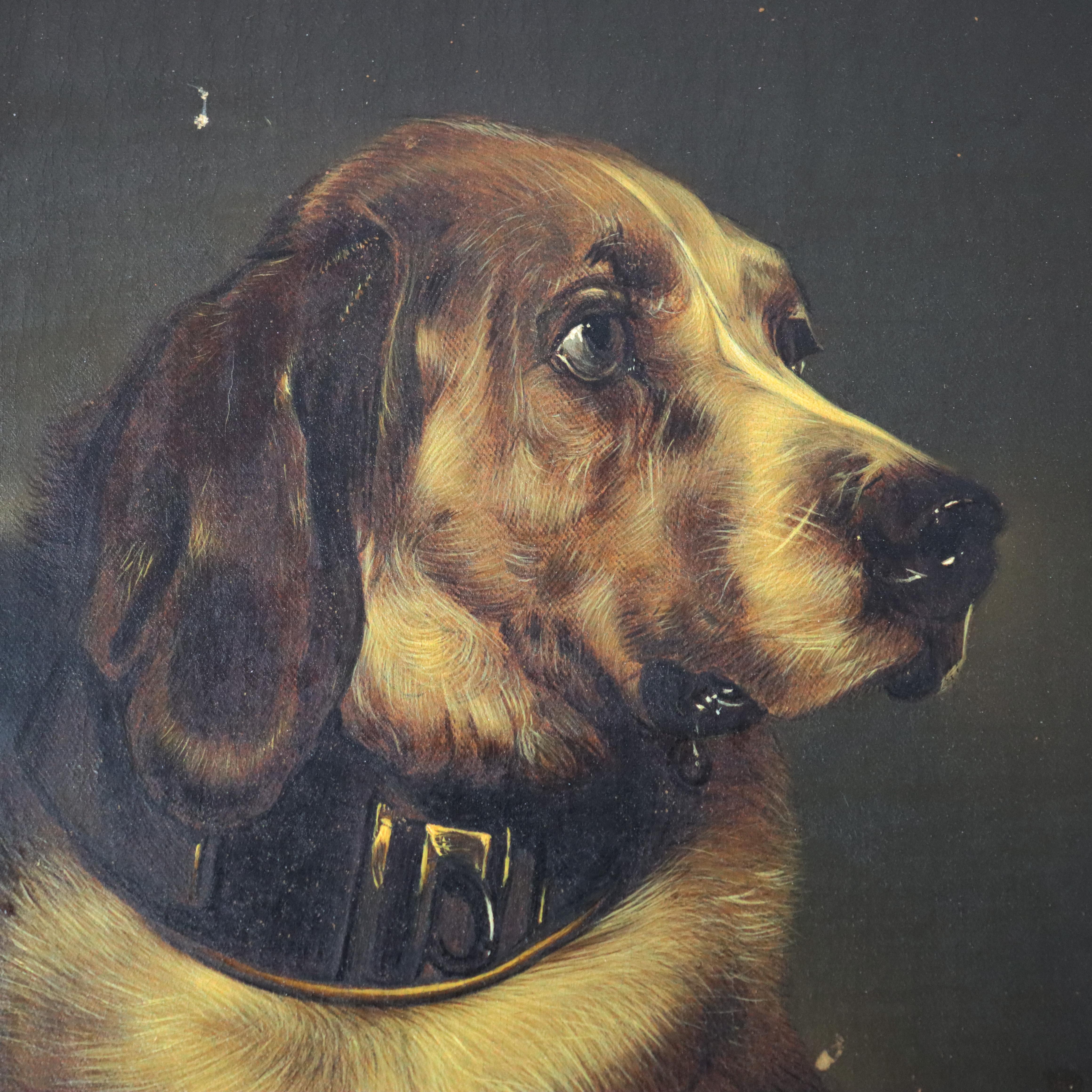 XIXe siècle Paire d'anciens portraits de chiens à l'huile sur toile, encadrés, C1890 en vente