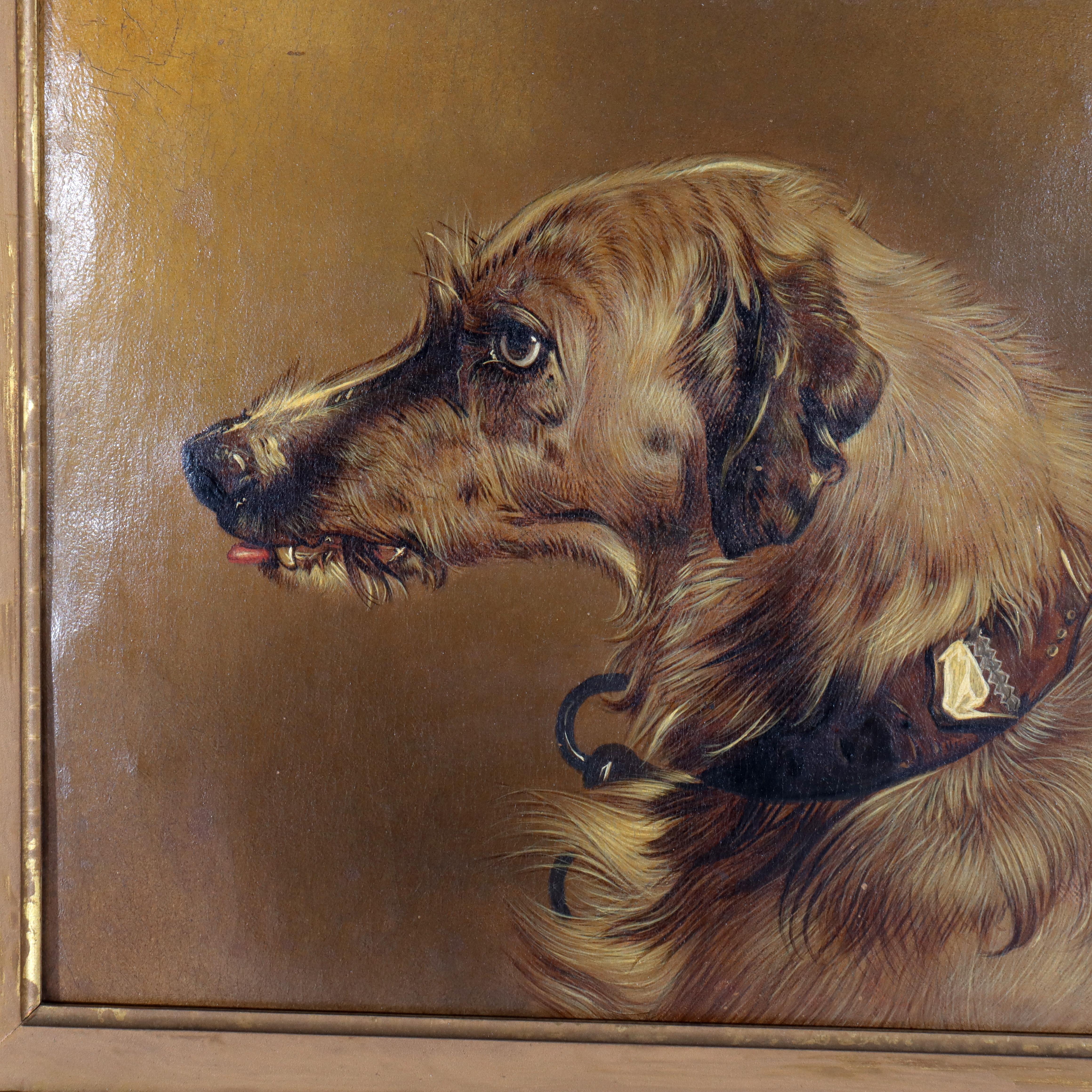 Paire d'anciens portraits de chiens à l'huile sur toile, encadrés, C1890 en vente 1