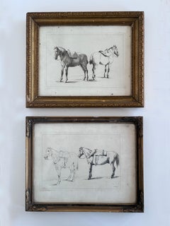 Pair of Antique Orginal Horse Equestrian Etchings in Gilded Frames, circa 1700