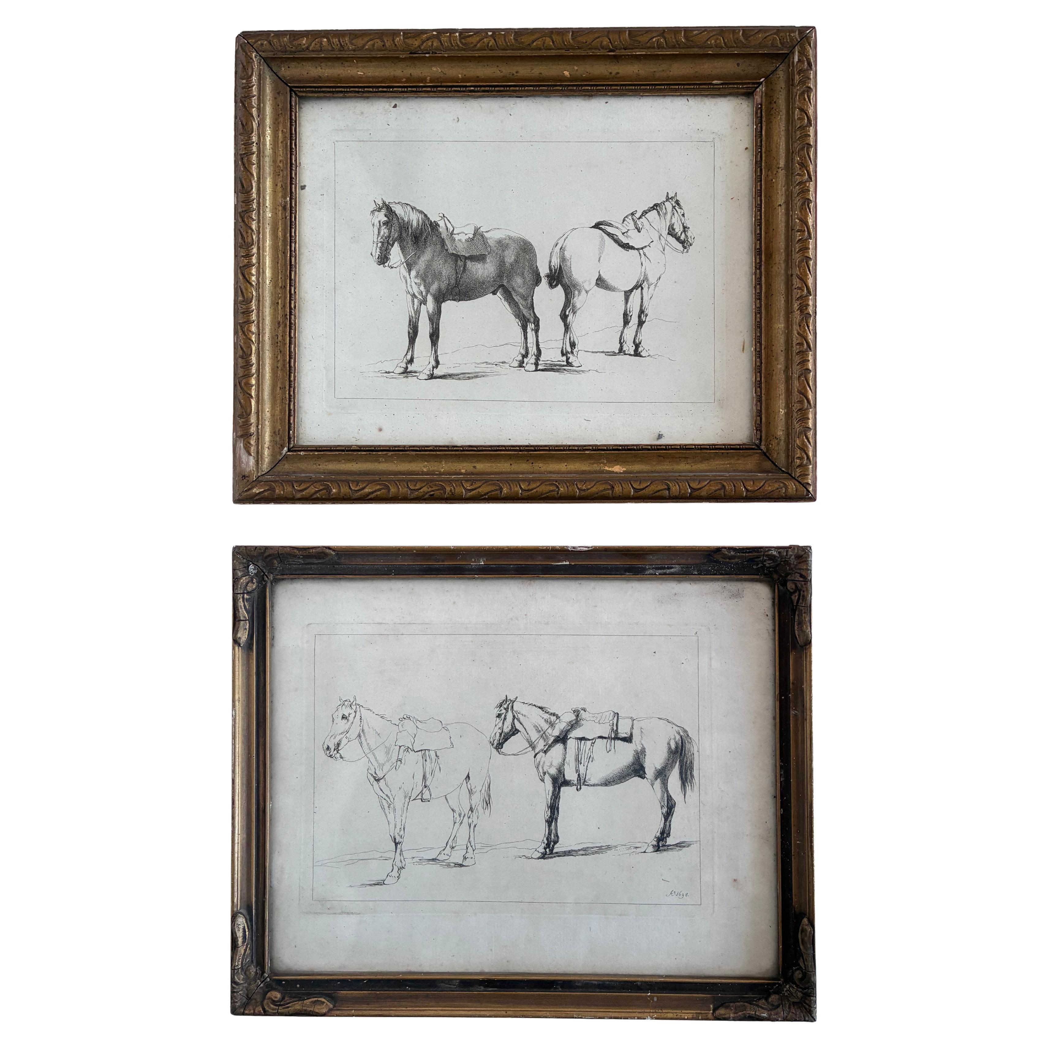 Pair of Antique Original Horse Etchings, circa 1700, Framed Equestrian Prints