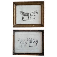 Pair of Antique Orginal Horse Equestrian Etchings in Gilded Frames, circa 1700