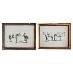 Pair of Antique Original Horse Etchings, circa 1700: Framed Equestrian Prints