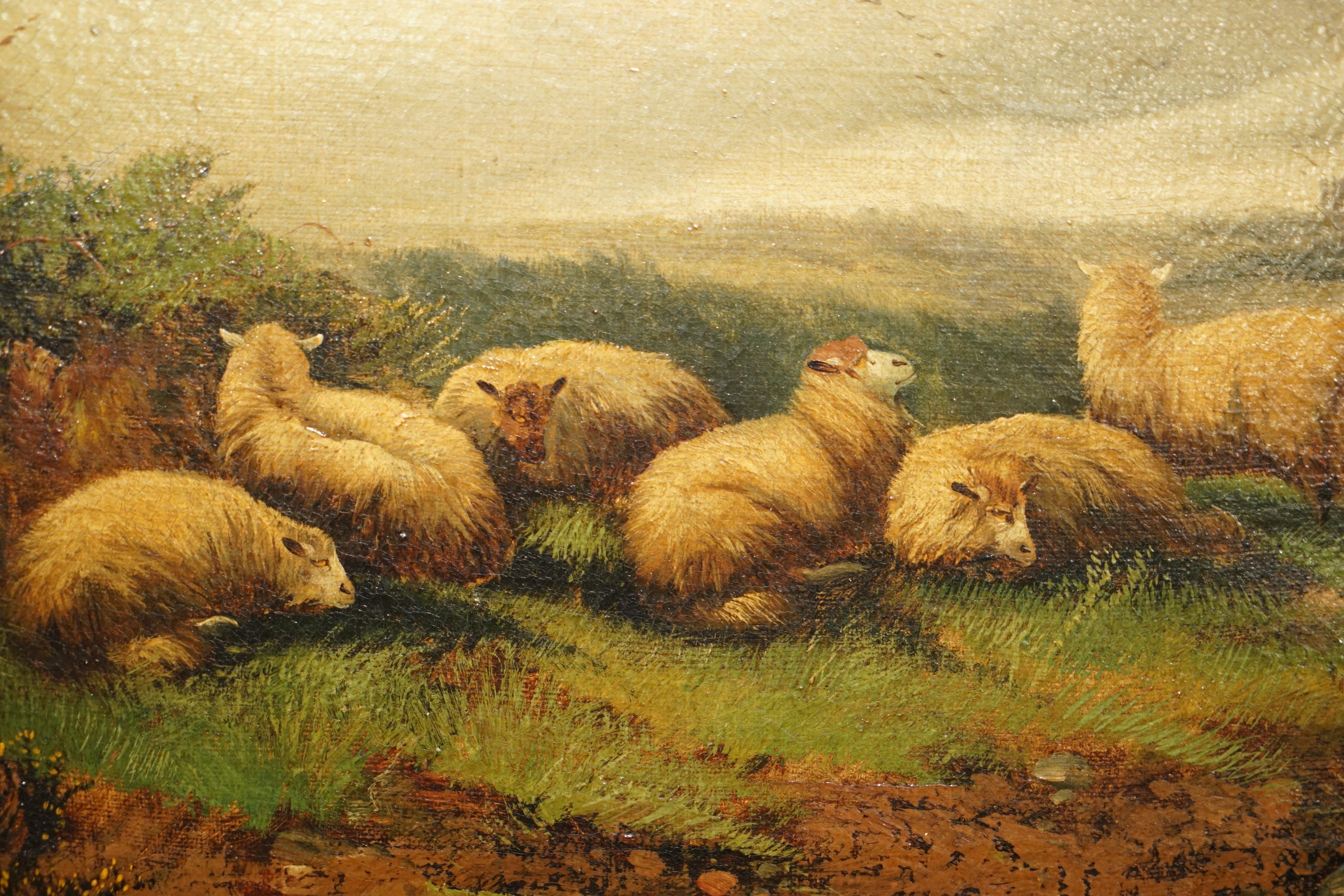 19th Century PAIR OF ANTIQUE ORIGINAL JOHN W MORRIS 1865-1924 LANDSCAPE SHEEP OIL PAiNTINGS For Sale