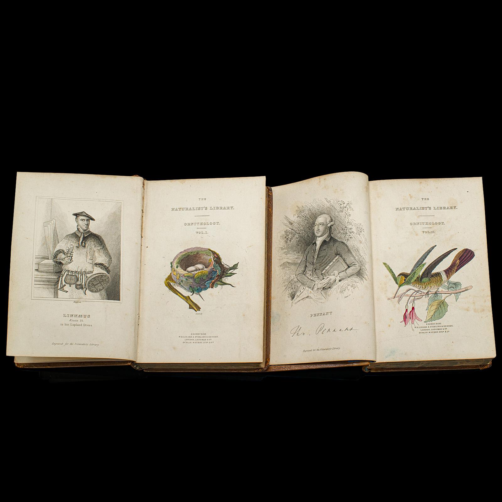 William IV Pair Of Antique Ornithology Books, English, 2 Vols, Hummingbirds, Circa 1830 For Sale