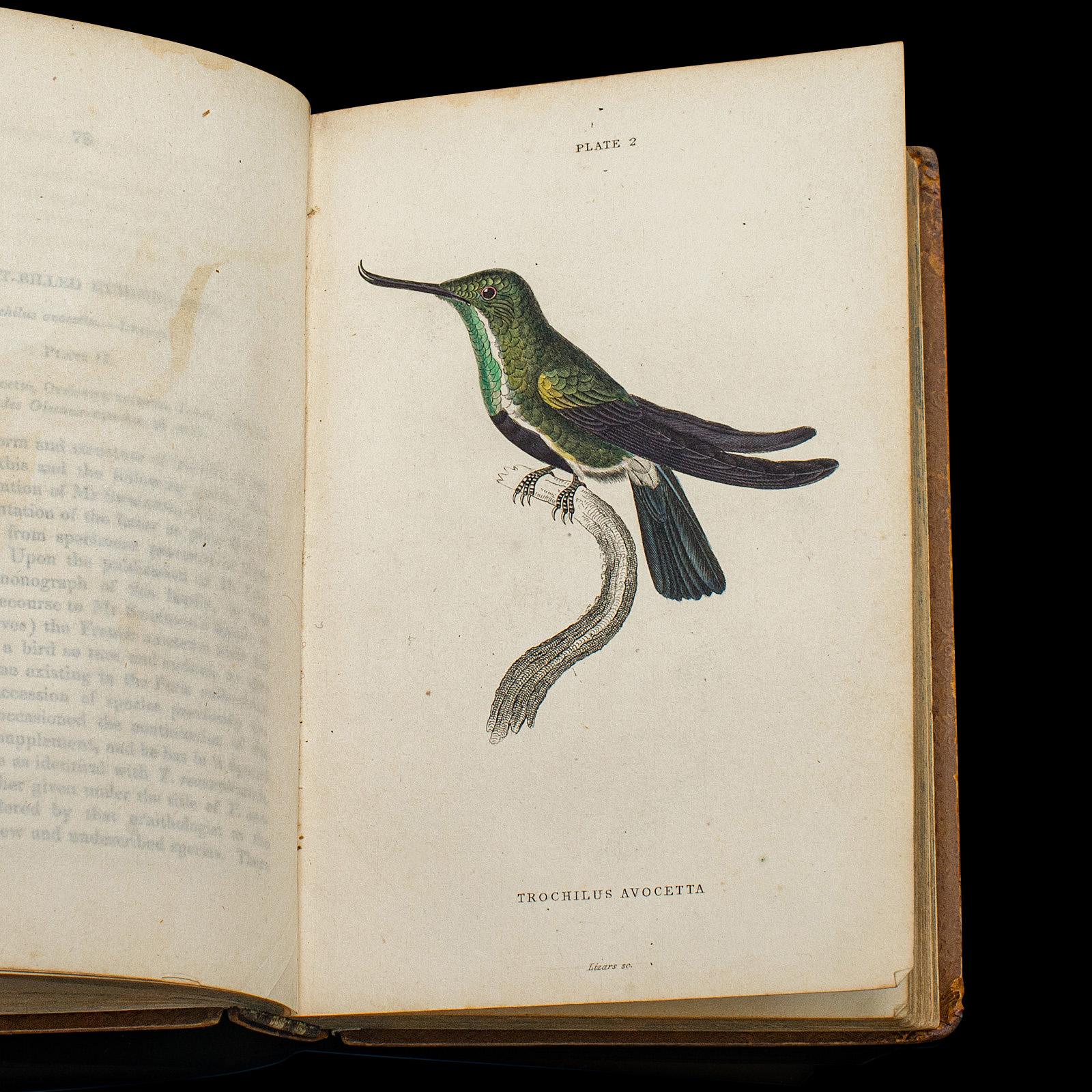 Paper Pair Of Antique Ornithology Books, English, 2 Vols, Hummingbirds, Circa 1830 For Sale