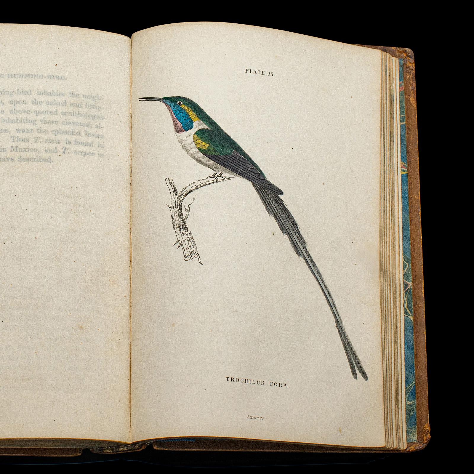 Pair Of Antique Ornithology Books, English, 2 Vols, Hummingbirds, Circa 1830 For Sale 1
