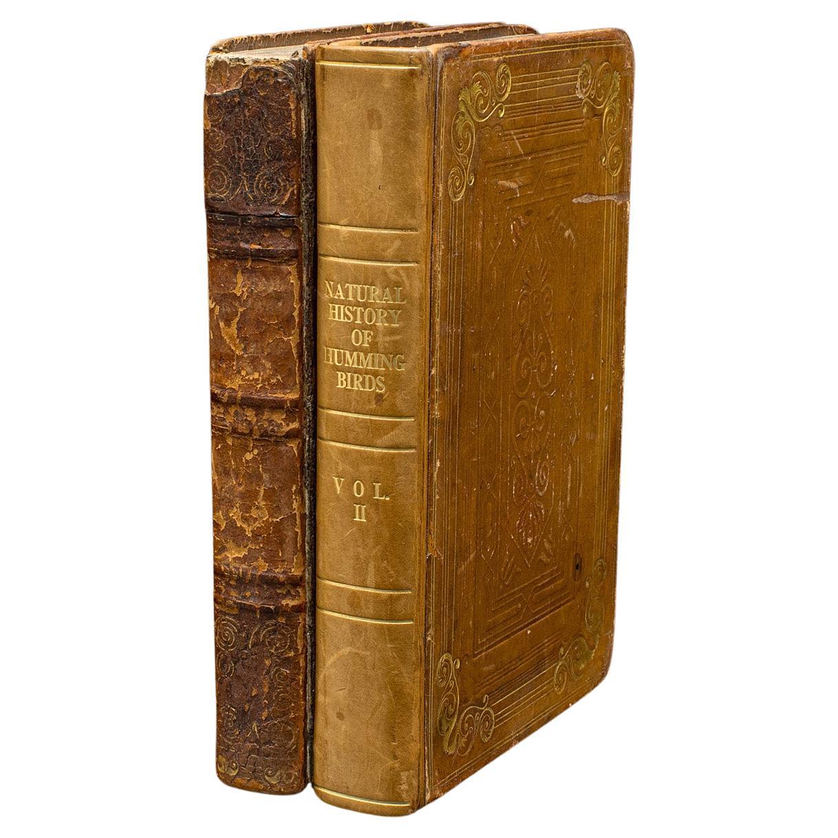 Pair Of Antique Ornithology Books, English, 2 Vols, Hummingbirds, Circa 1830 For Sale
