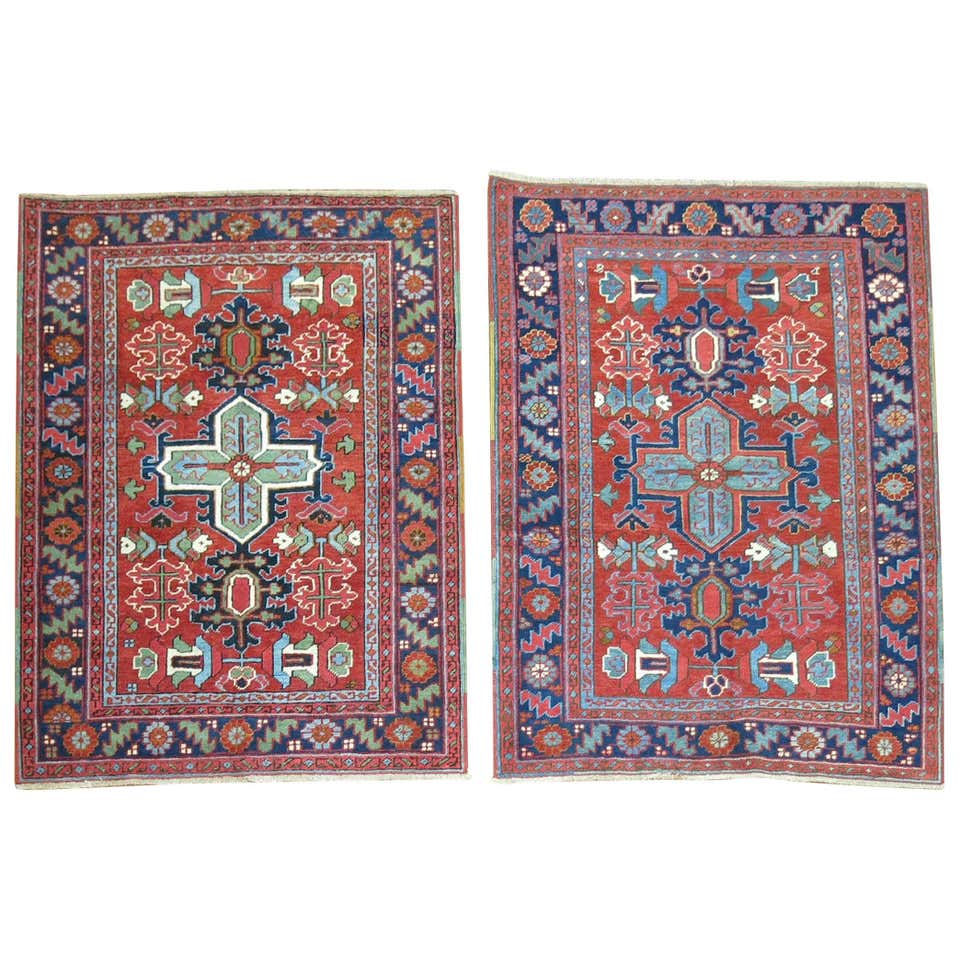 Tetex Rug Design Hériz Sérapi For Sale at 1stDibs