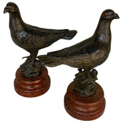 Pair of Antique Pigeon Statues, Bookends on Faux Marble Bases