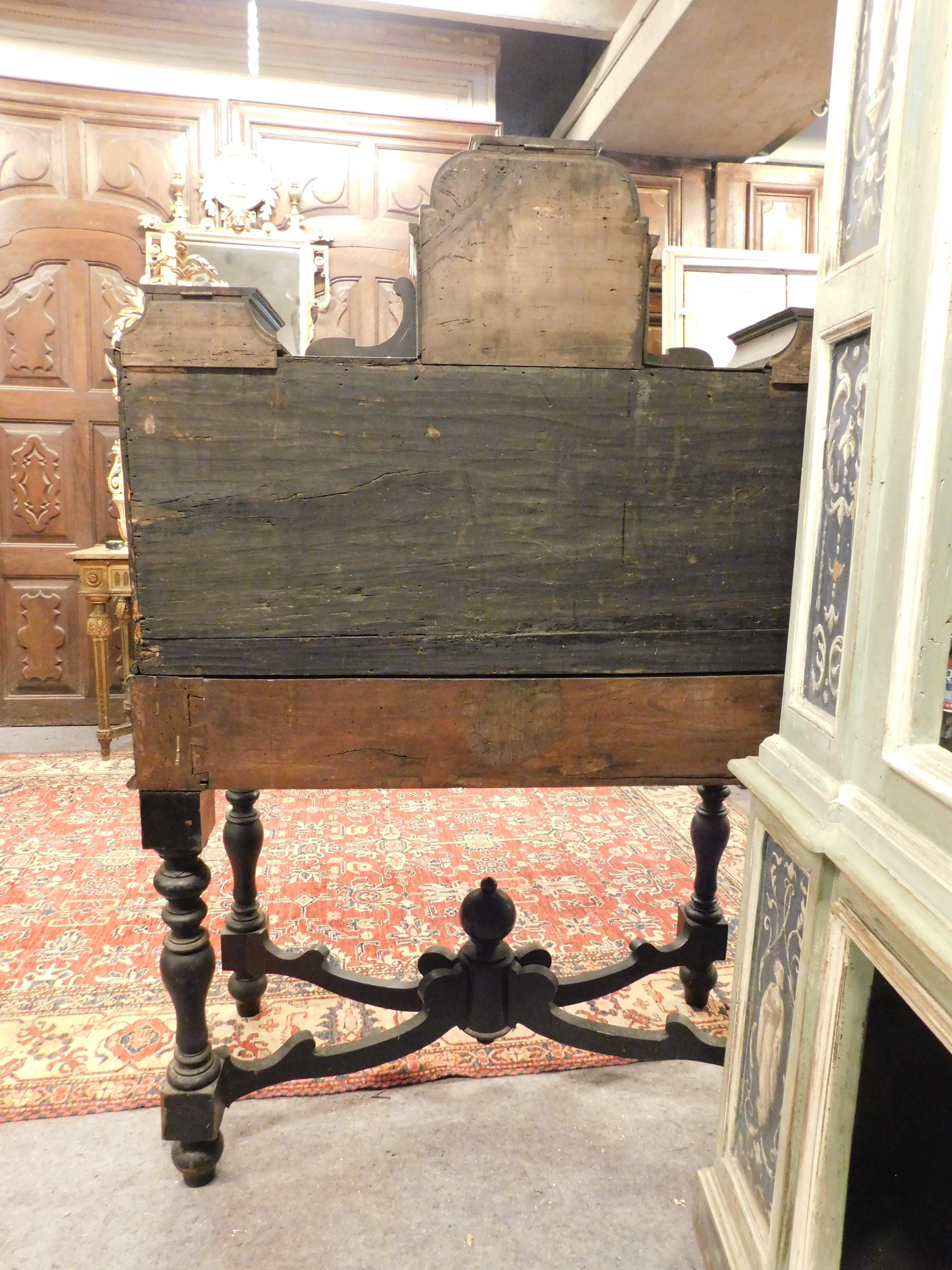 Pair of Antique Rare Richly Inlaid Wooden Coin Cabinets, 18th Century, Italy 4