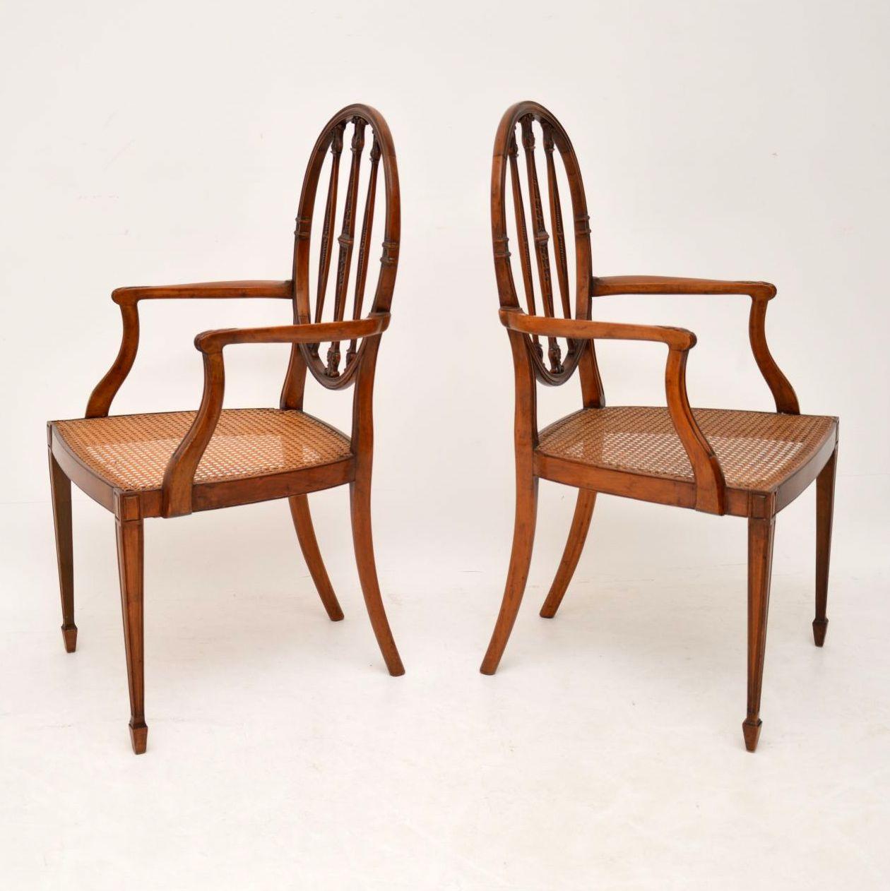 Sheraton Pair of Antique Satinwood Cane Seated Armchairs