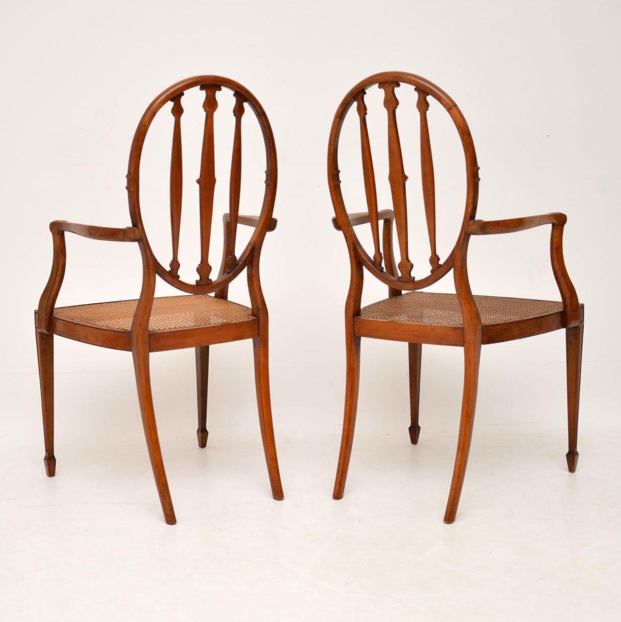 English Pair of Antique Satinwood Cane Seated Armchairs