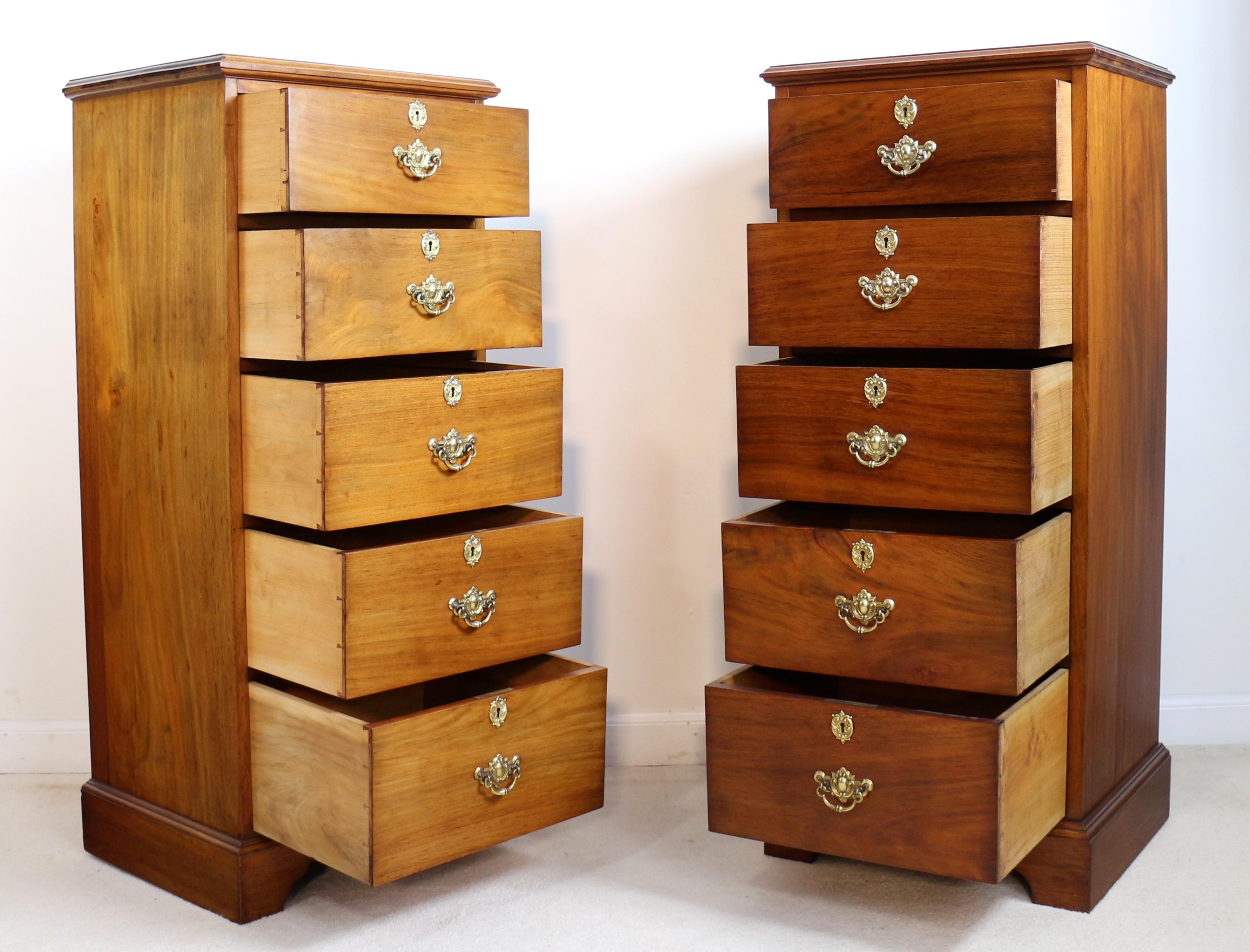 Pair of Antique Scottish Late Victorian Mahogany Collector’s Chests For Sale 8