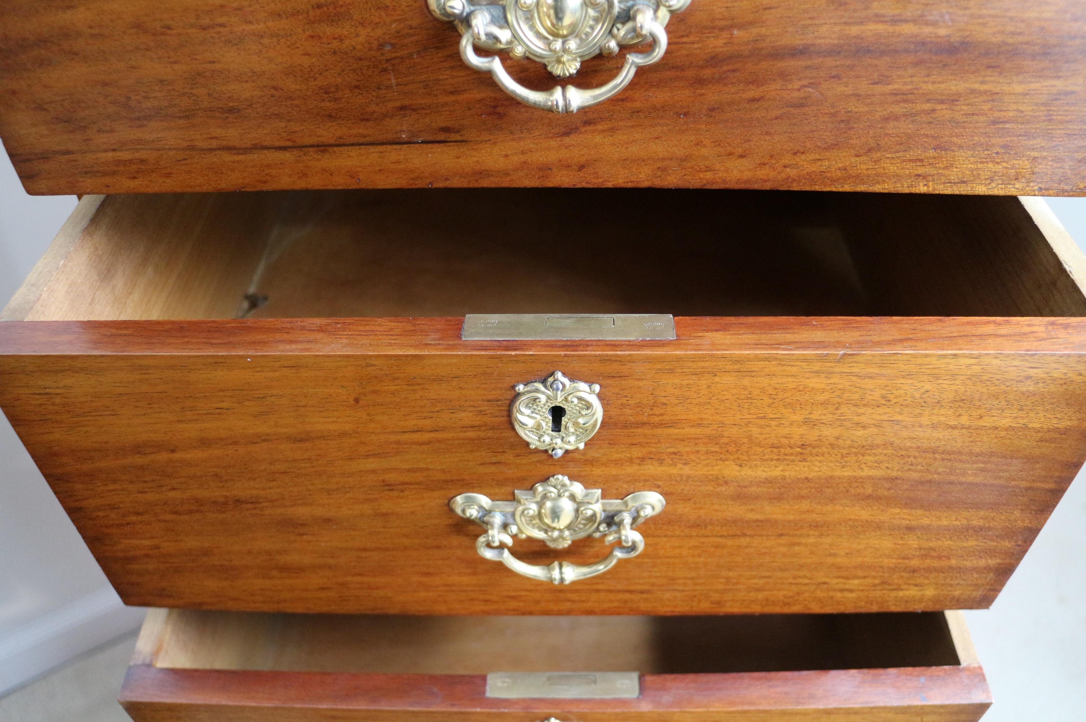 Pair of Antique Scottish Late Victorian Mahogany Collector’s Chests For Sale 11