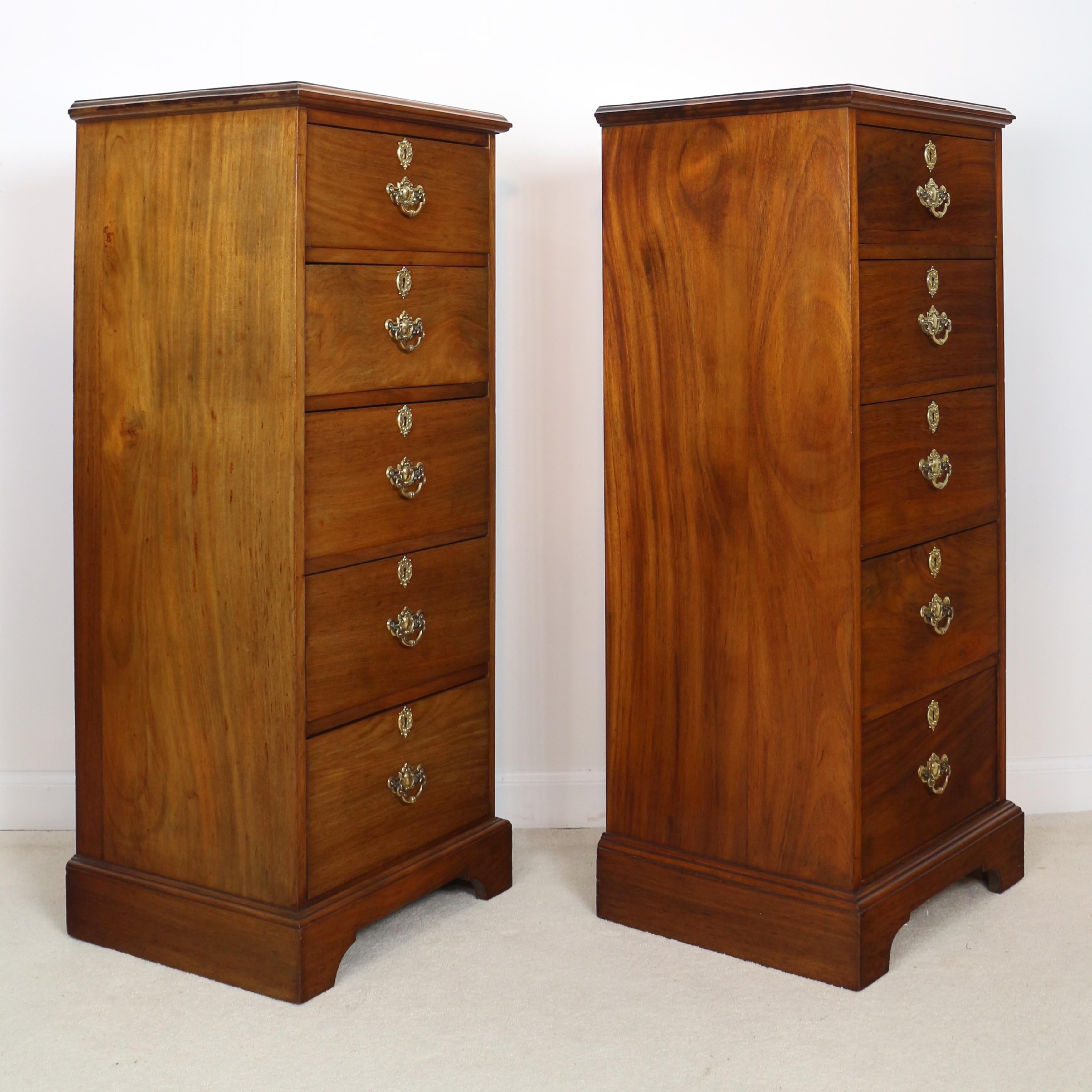Pair of Antique Scottish Late Victorian Mahogany Collector’s Chests For Sale 13