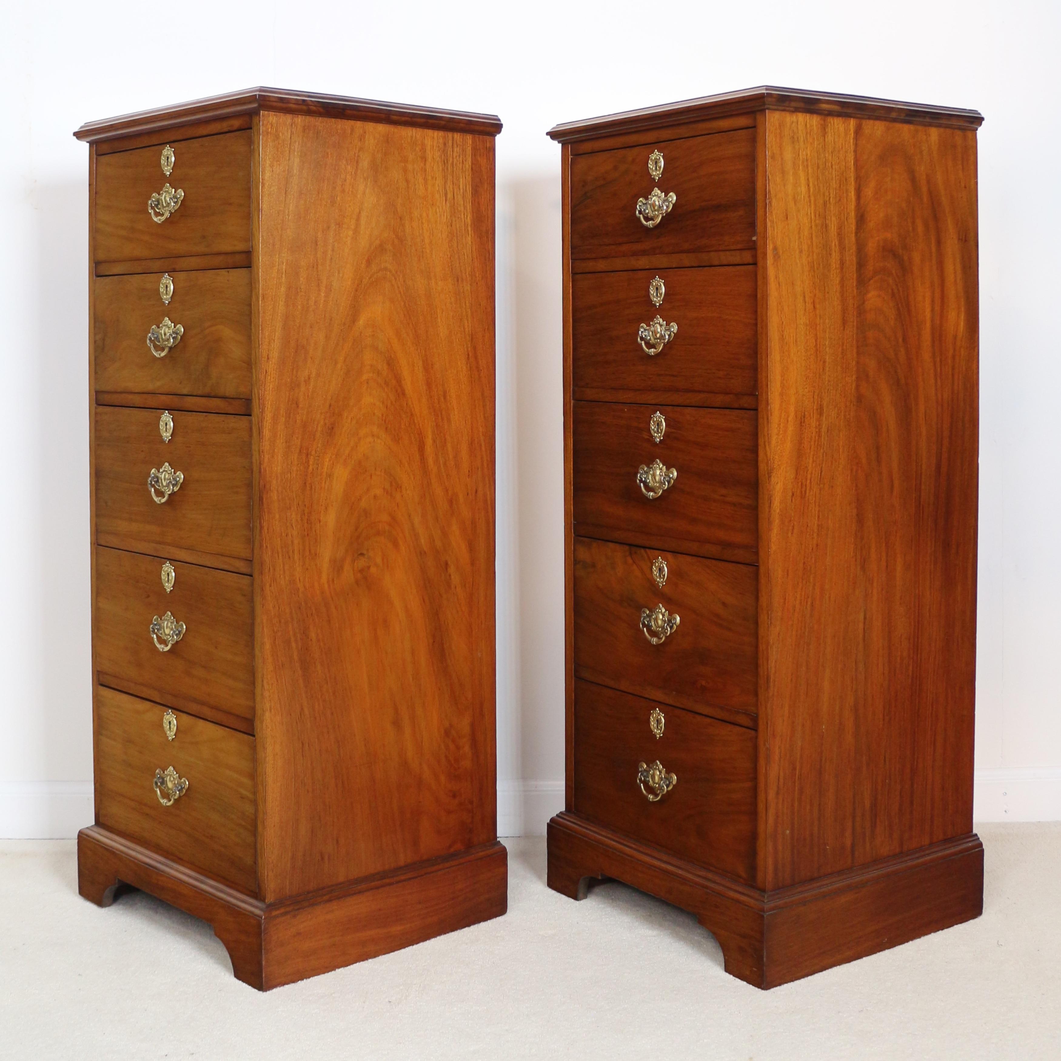 Pair of Antique Scottish Late Victorian Mahogany Collector’s Chests For Sale 14