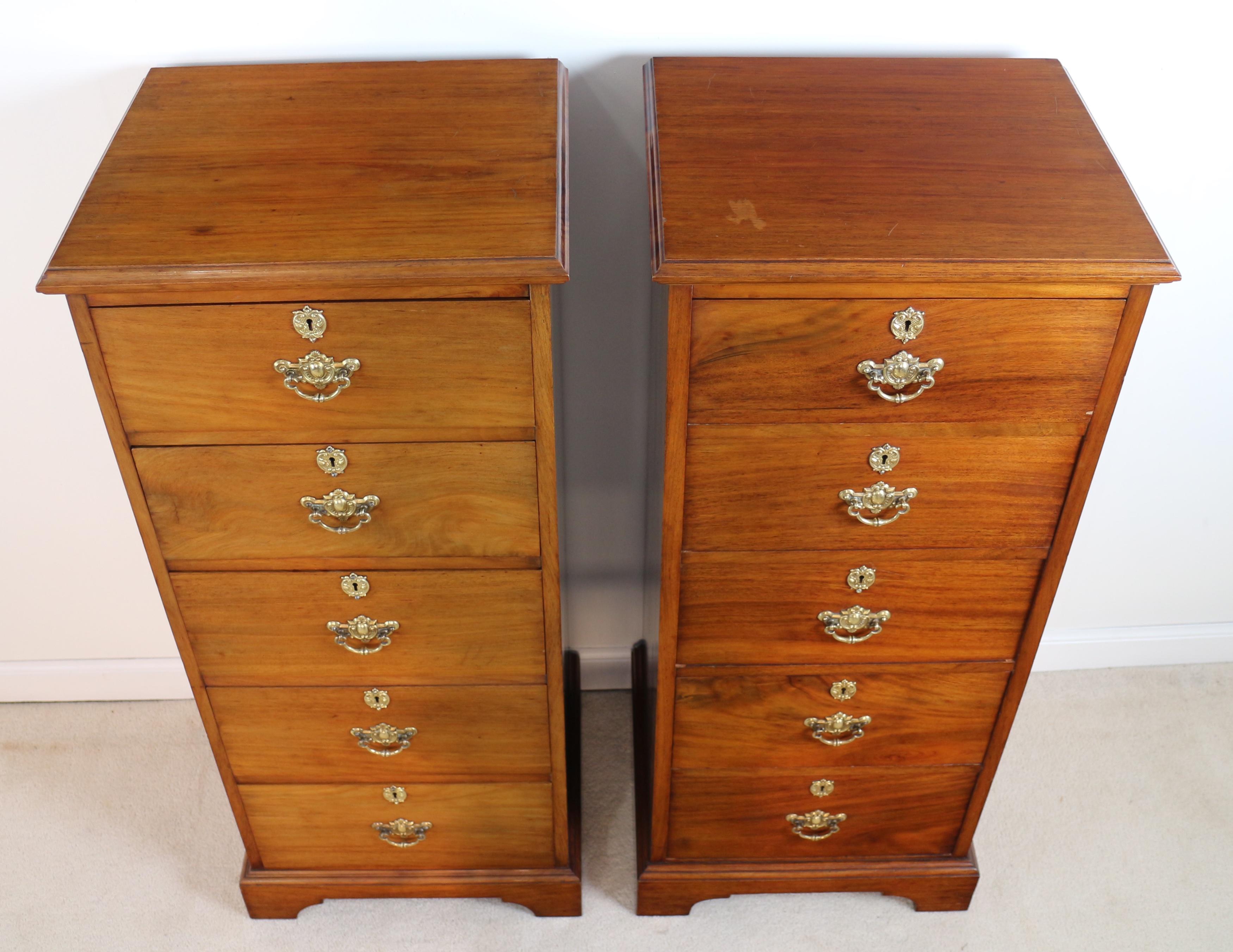 Pair of Antique Scottish Late Victorian Mahogany Collector’s Chests In Good Condition For Sale In Glasgow, GB